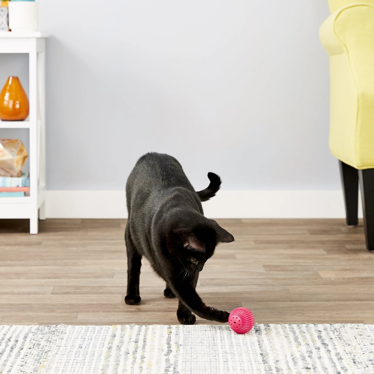 Pet Qwerks Babble Ball Kitten Toy With Catnip - Image 4