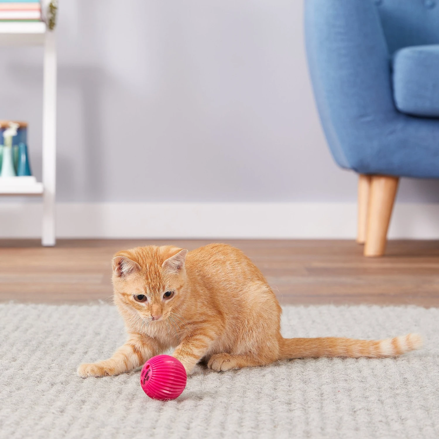 Pet Qwerks Babble Ball Kitten Toy With Catnip - Image 5