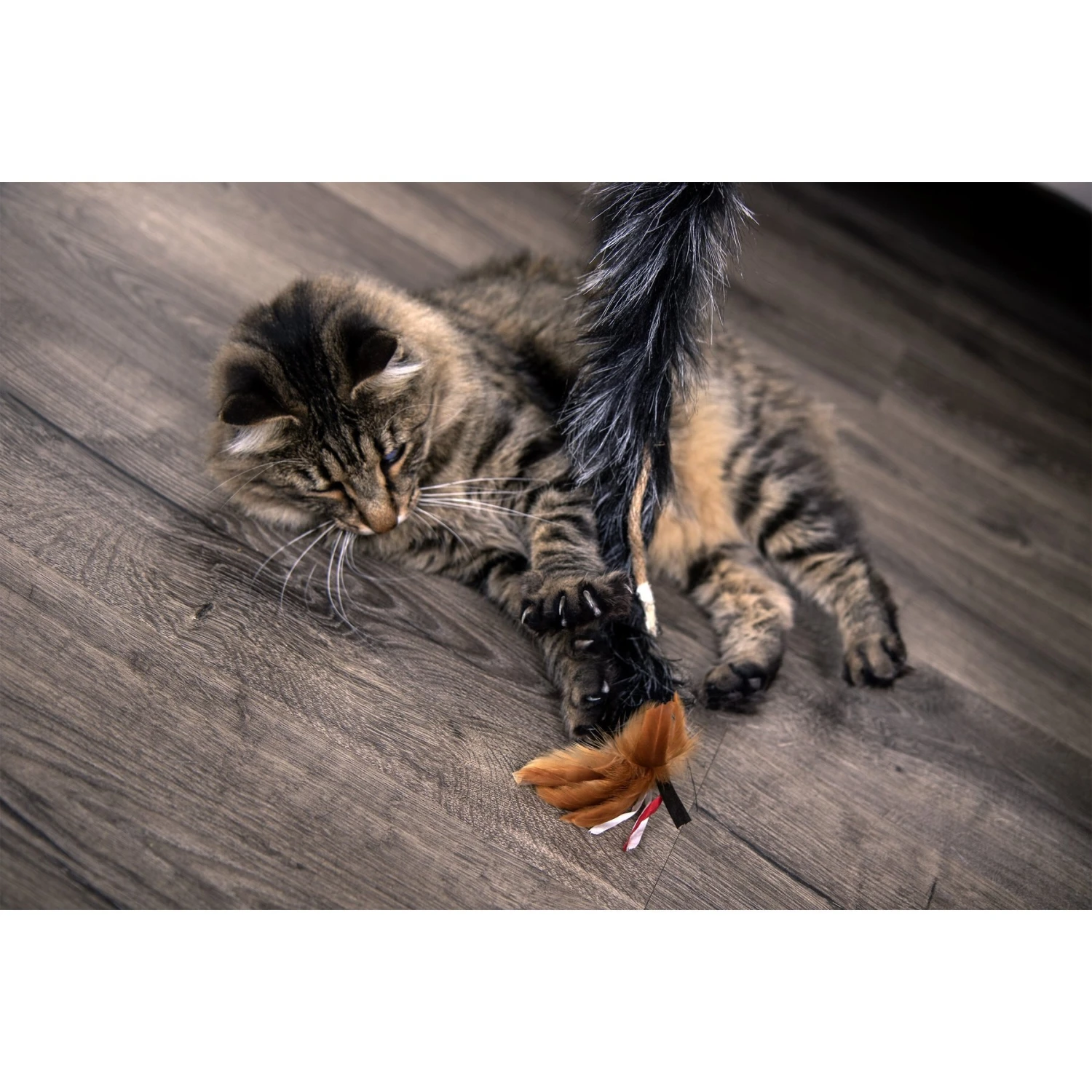 Petlinks Plume Crazy Wand Cat Toy, Color Varies - Image 2