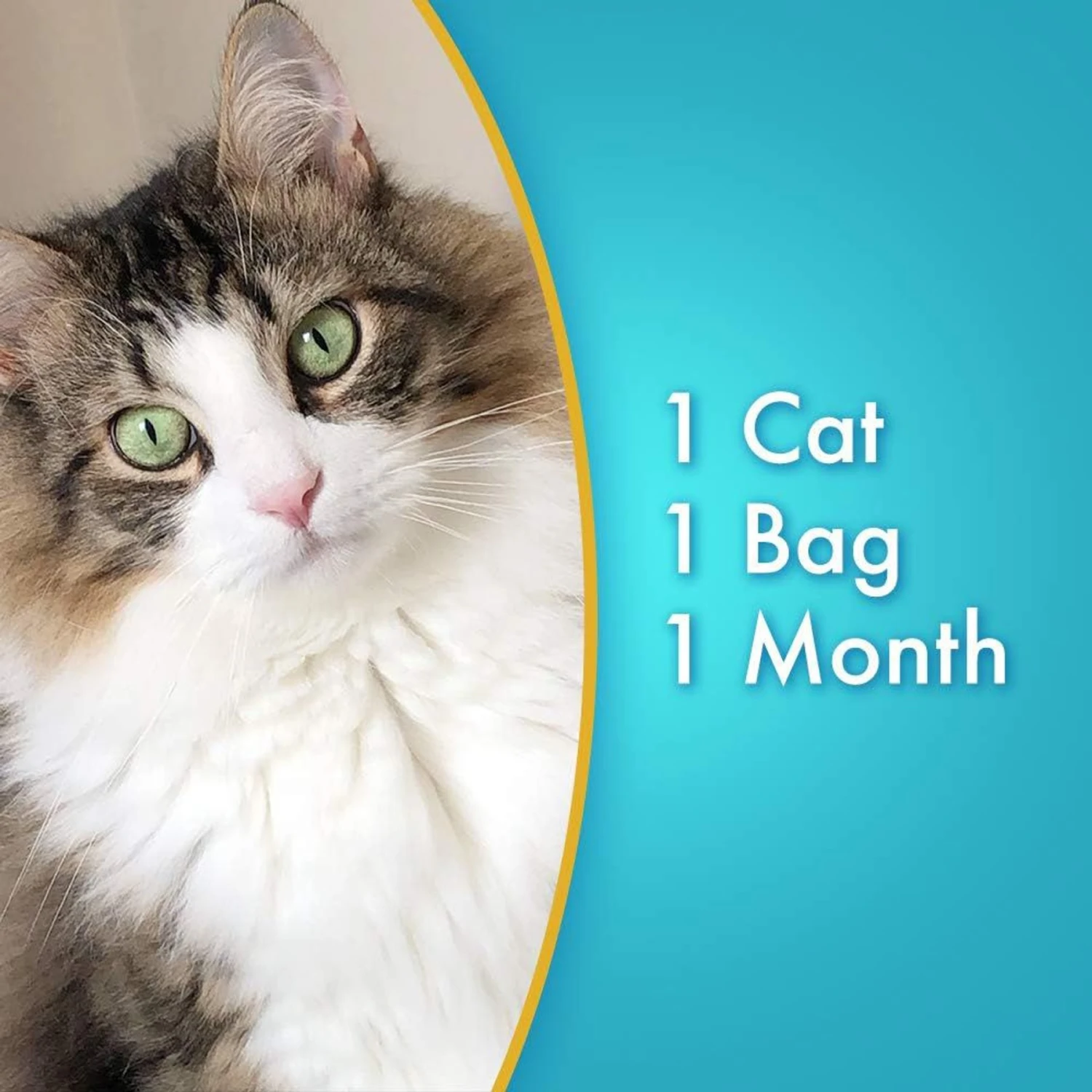 Ultra Pearls Unscented Non-Clumping Crystal Cat Litter - Image 5