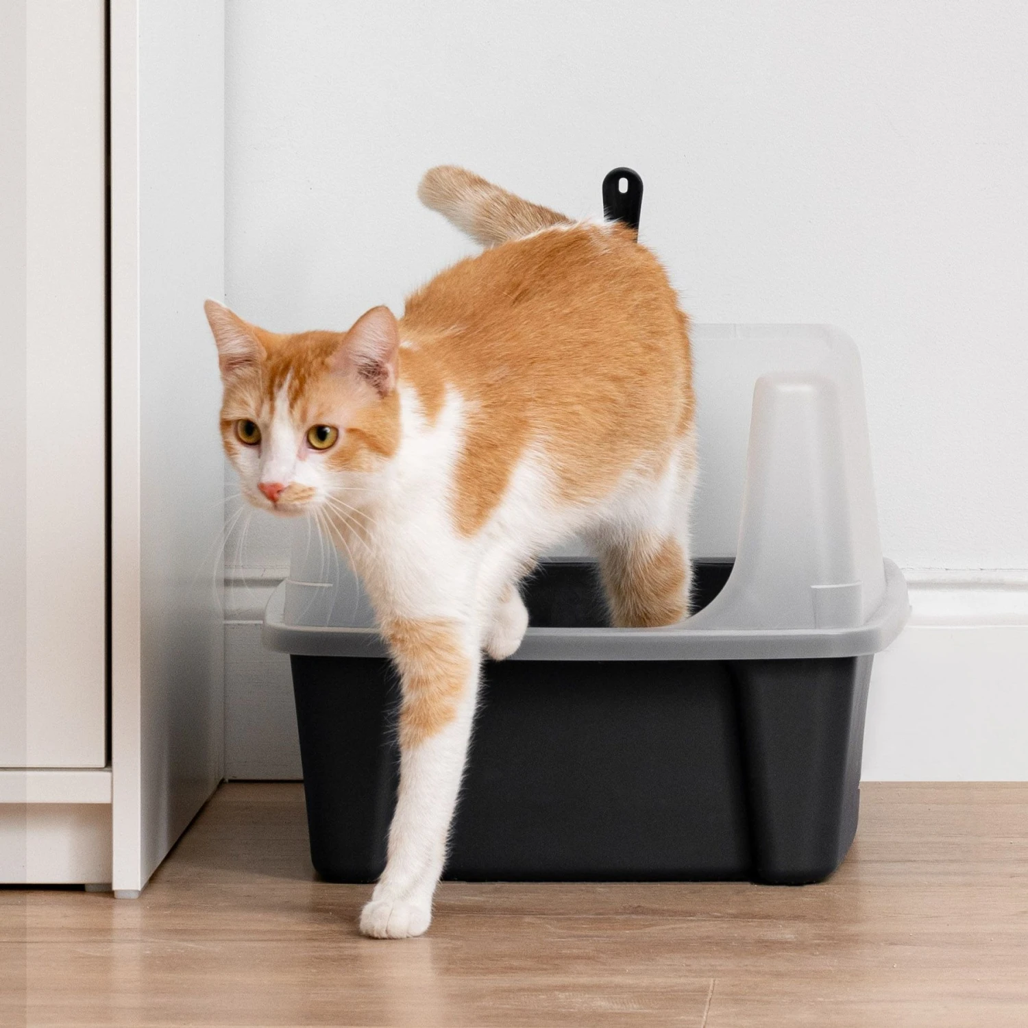 IRIS USA Open Top Litter Box With Scatter Shield & Scoop - Image 8