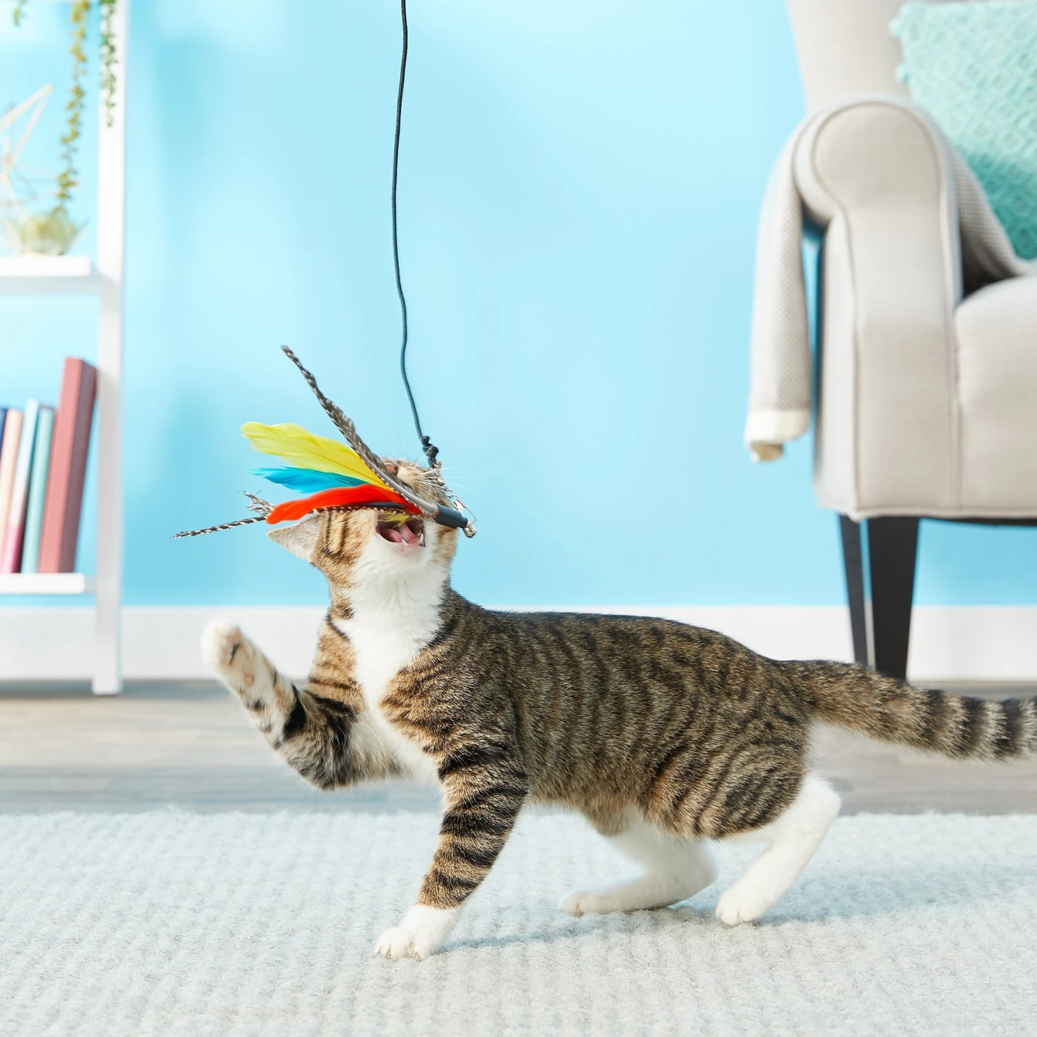 Pet Fit For Life 3 Piece Retractable Feather Wand Cat Toy - Image 3