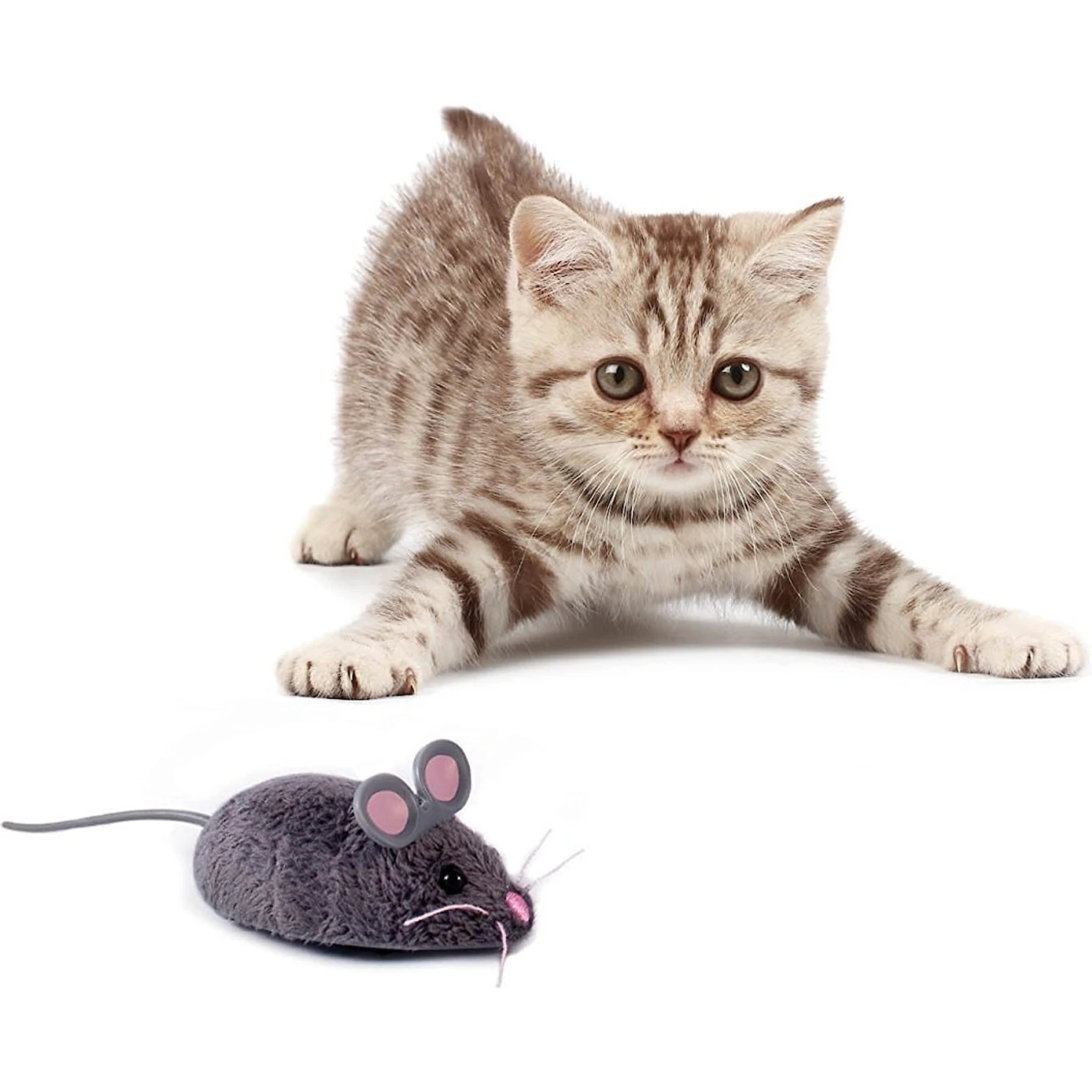 Hexbug Mouse Robotic Cat Toy, Color Varies - Image 3