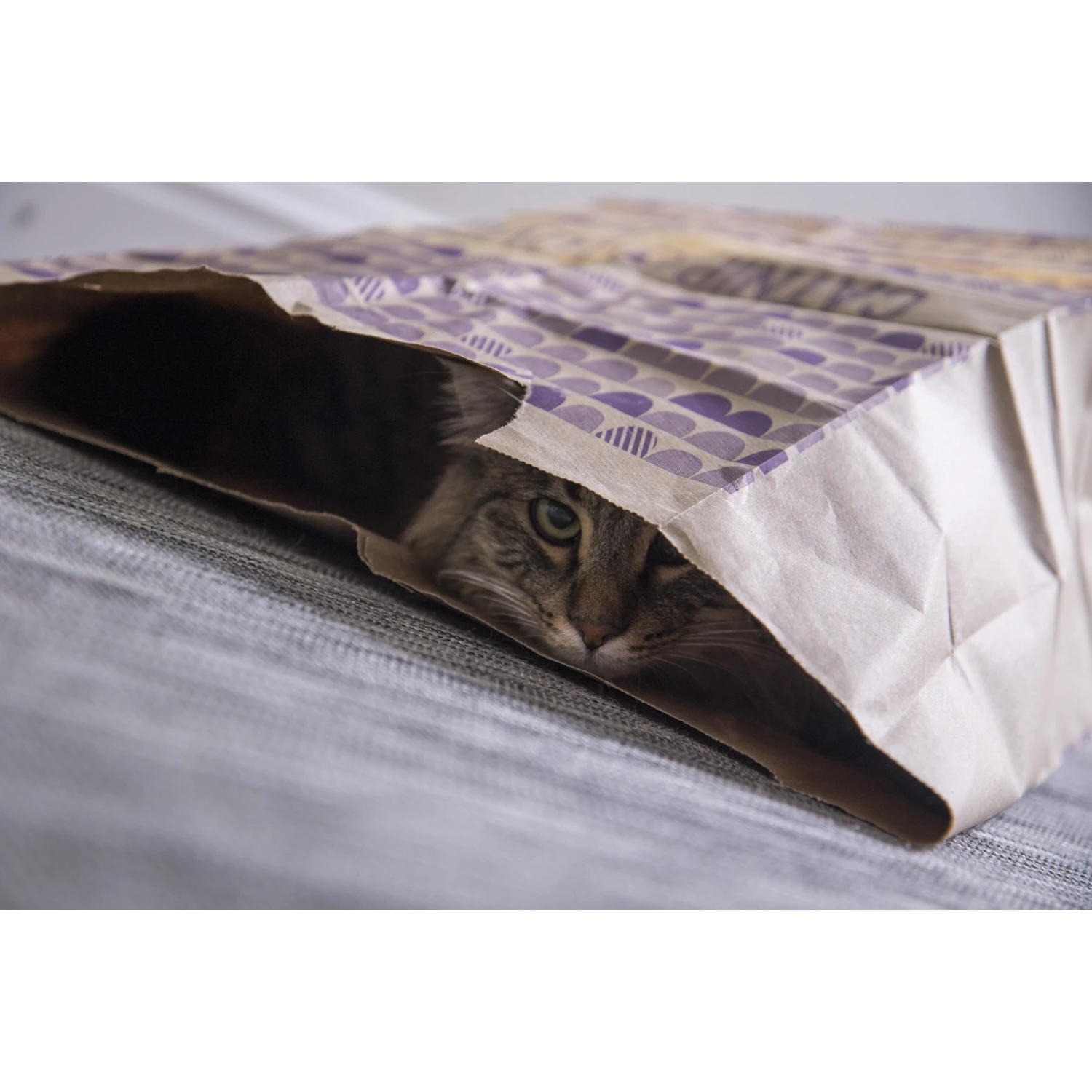 SmartyKat Cat Caves Catnip Infused Paper Bags, 2 Count - Image 3