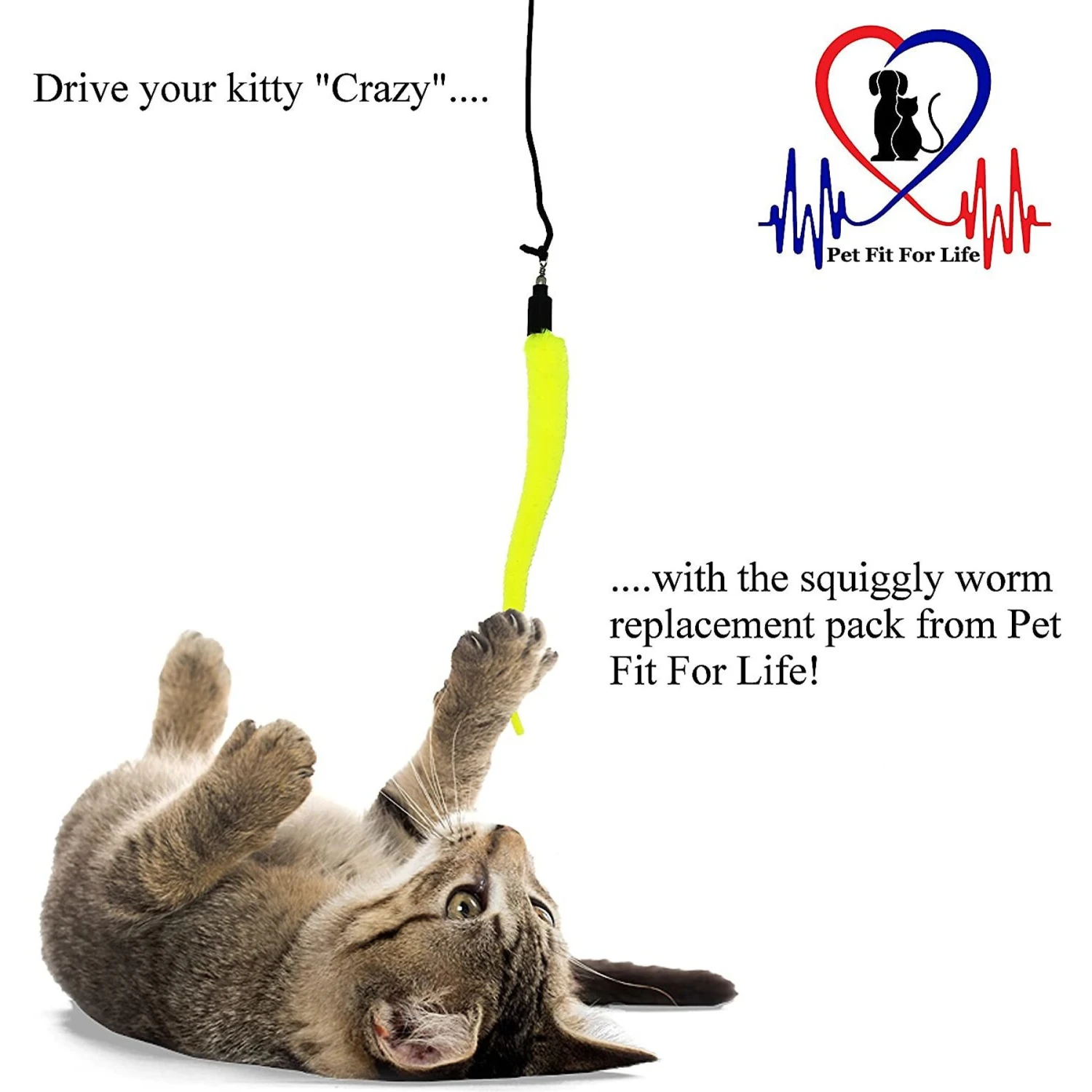 Pet Fit For Life 5 Piece Squiggly Worm Replacement Pack For Wand Cat Toy - Image 2