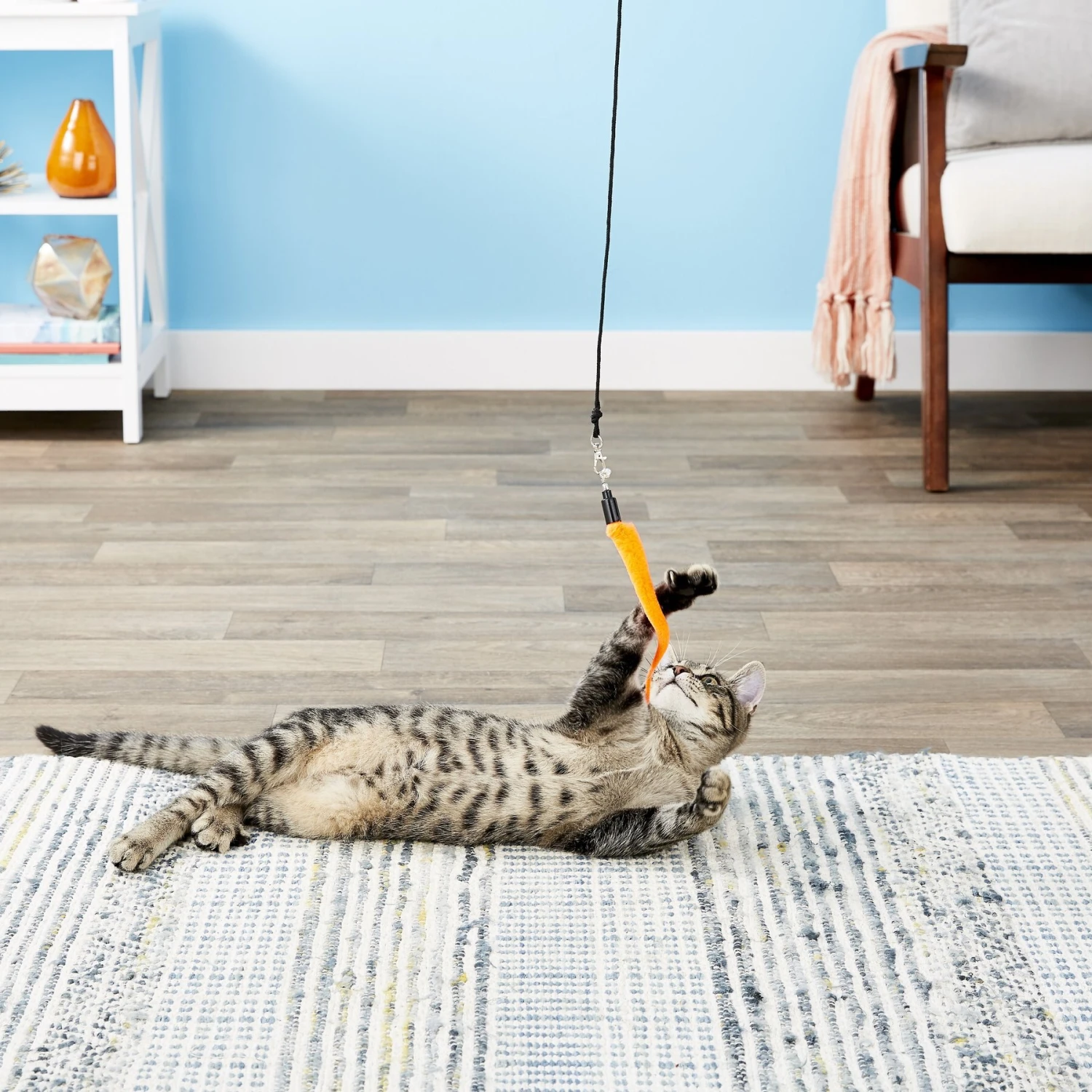 Pet Fit For Life 5 Piece Squiggly Worm Replacement Pack For Wand Cat Toy - Image 7