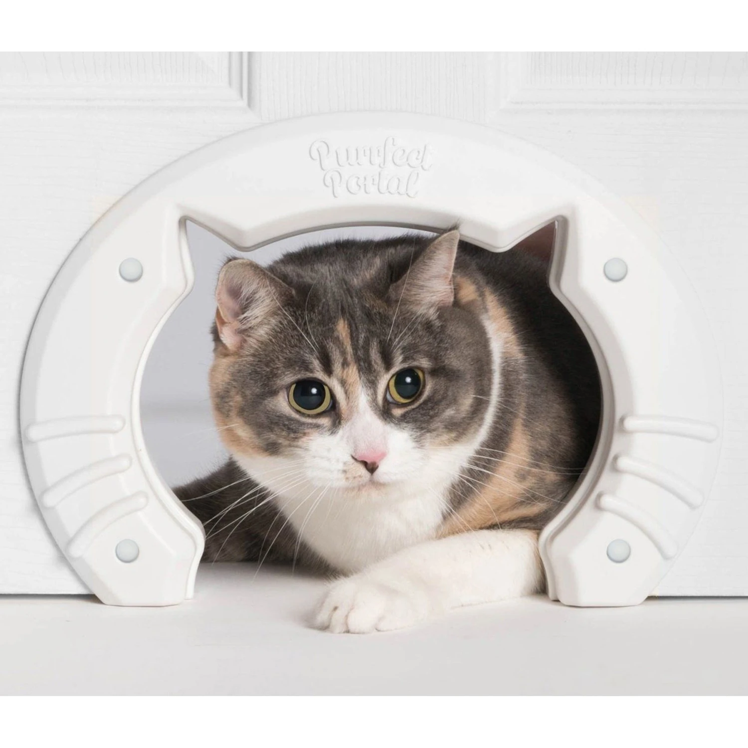 Purrfect Portal Original Interior Cat Door - Image 3