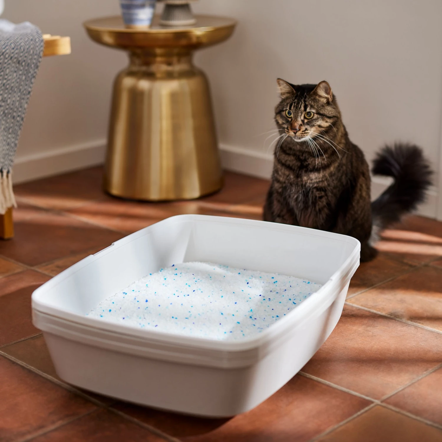 Frisco Summer Clean Scented Non-Clumping Crystal Cat Litter - Image 5