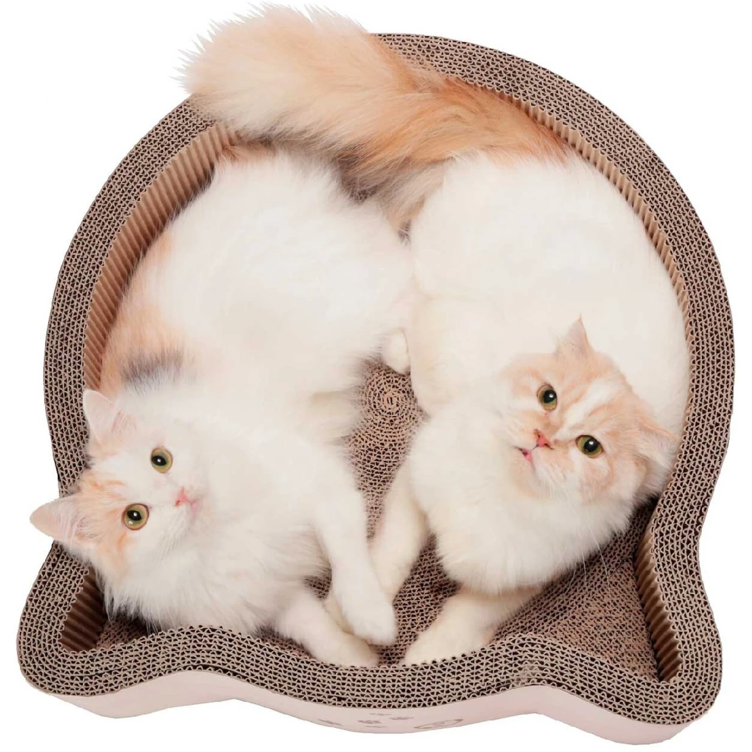 Necoichi Cat Head Scratcher Bed