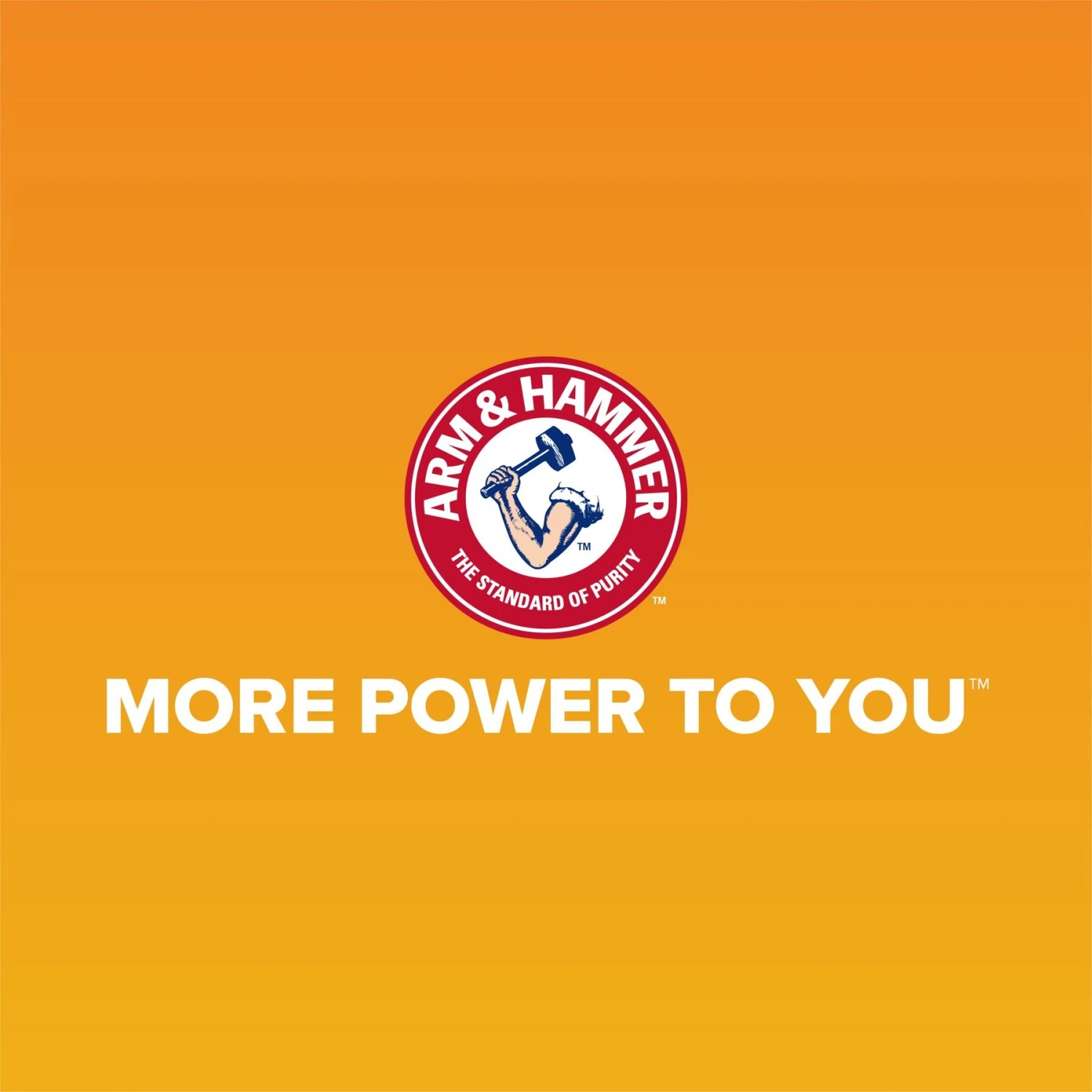 Arm & Hammer Sifting Cat Litter Pan - Image 3