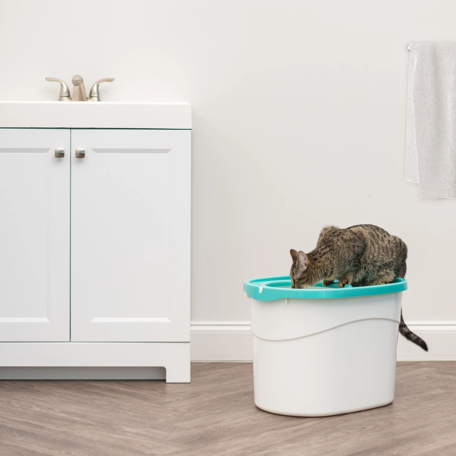 IRIS USA Large Round Top Entry Cat Litter Box & Scoop - Image 3