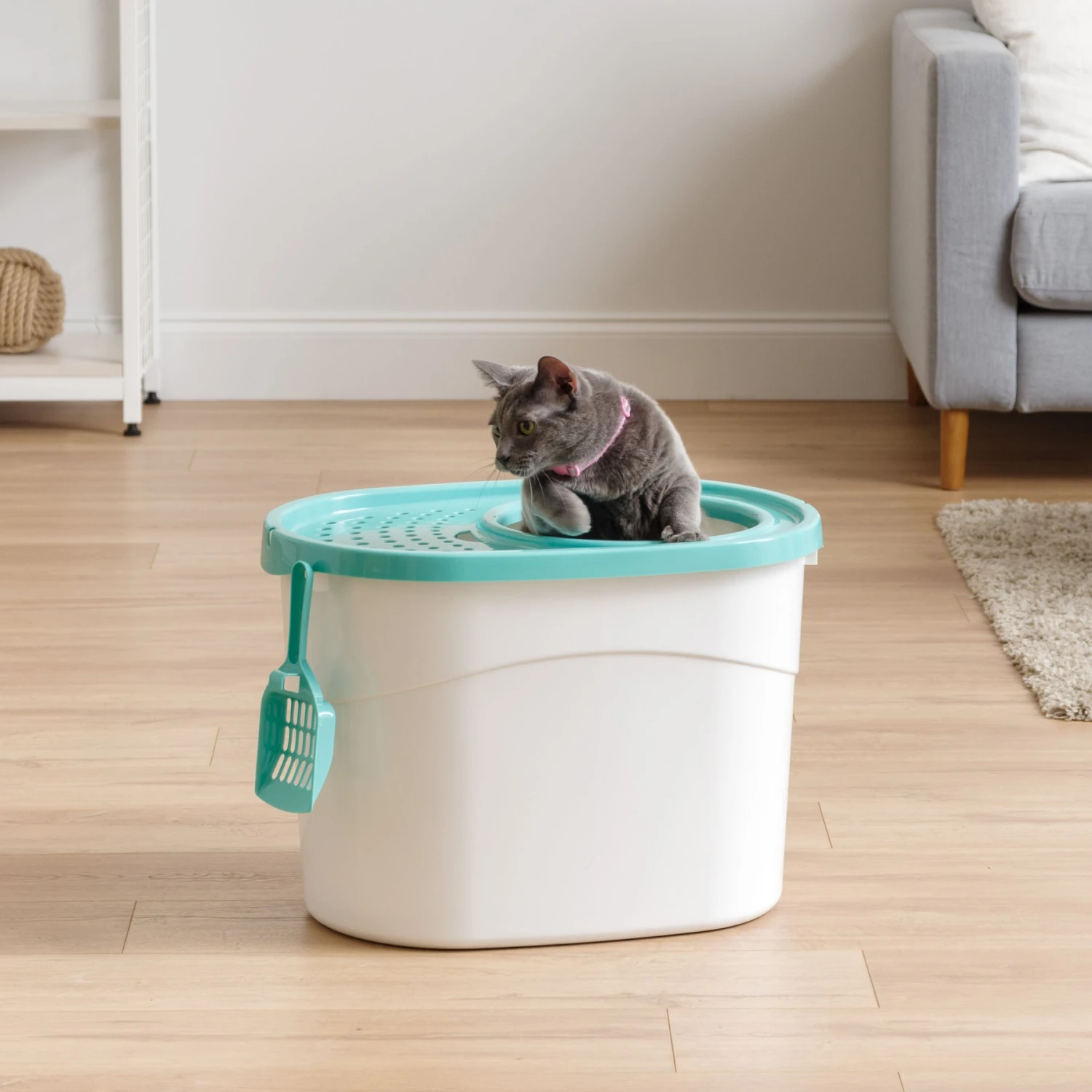IRIS USA Large Round Top Entry Cat Litter Box & Scoop - Image 4