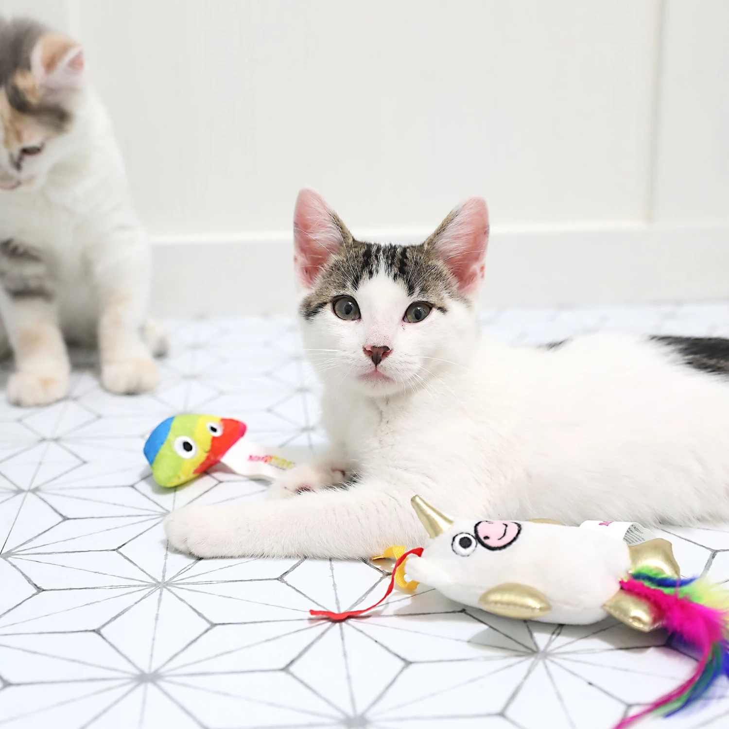 Mad Cat Mewnicorn & Rainbow Poop Catnip & Silvervine Cat Toy - Image 3