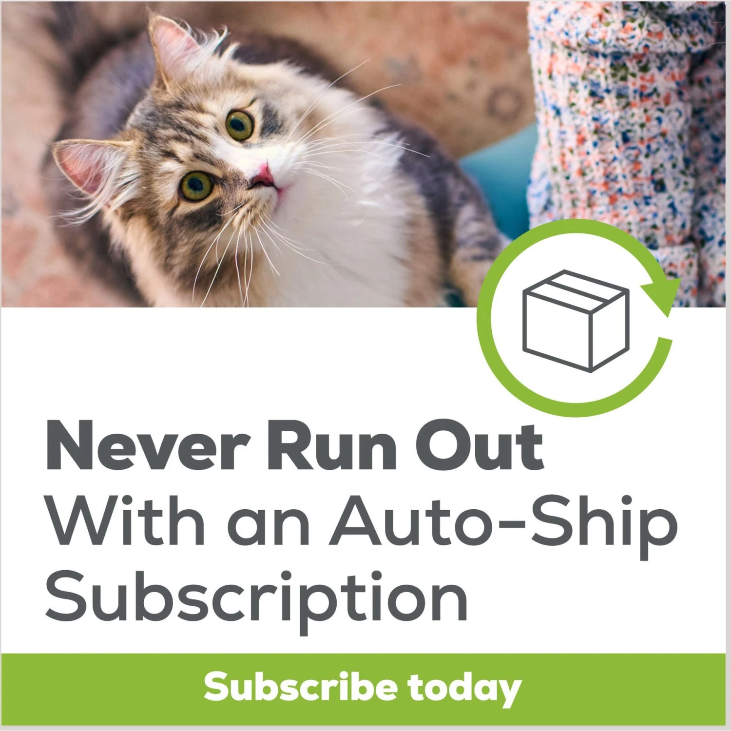 Tidy Max Lightweight 24/7 Performance Clumping Clay Cat Litter - Image 7