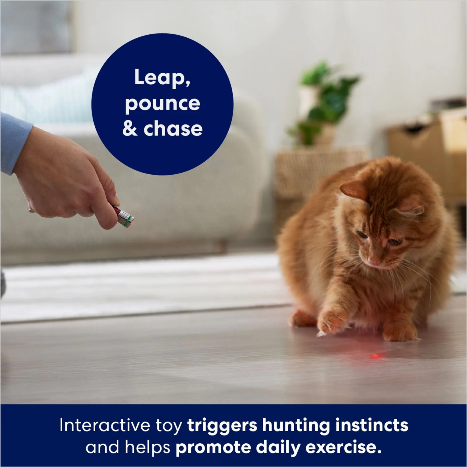 Frisco 2-in-1 Laser & LED Light Laser Cat Toy - Image 3