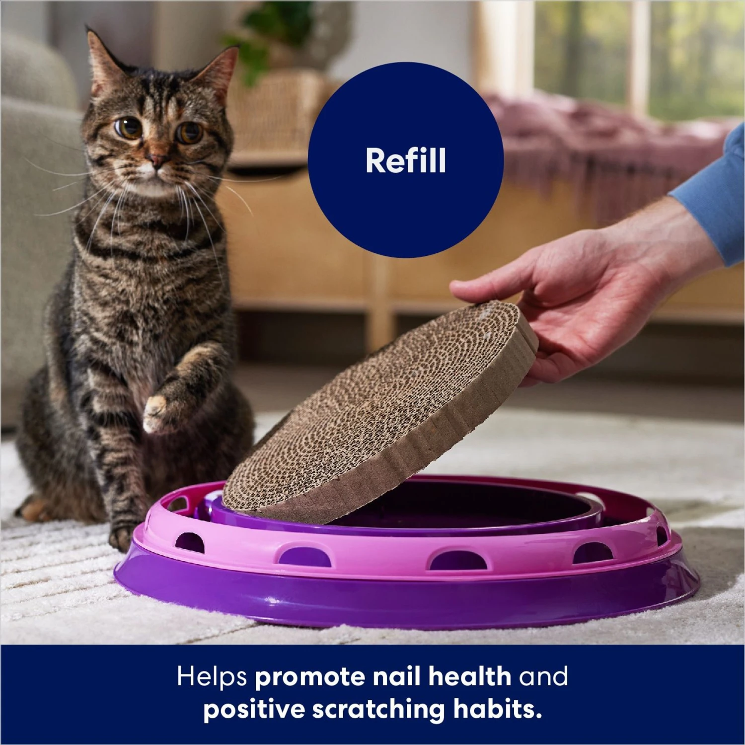Frisco Scratch & Roll Scratcher Cat Toy Refills - Image 3