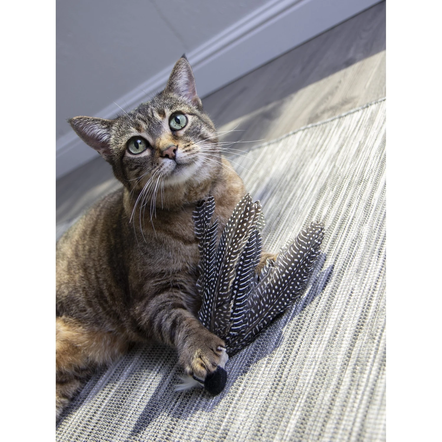 Petlinks HappyNip Safari Zippy Zebra Feathered Cat Toy With Catnip - Image 4