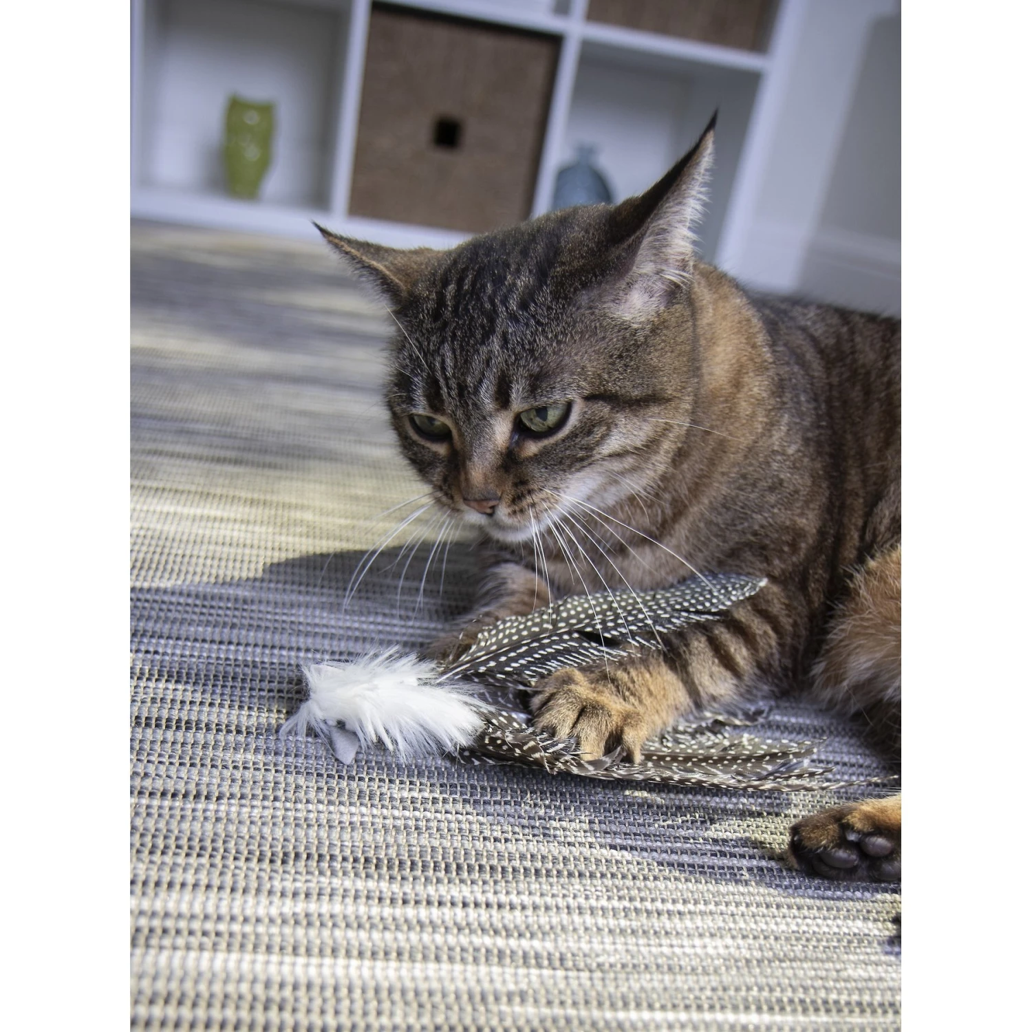 Petlinks HappyNip Safari Zippy Zebra Feathered Cat Toy With Catnip - Image 6