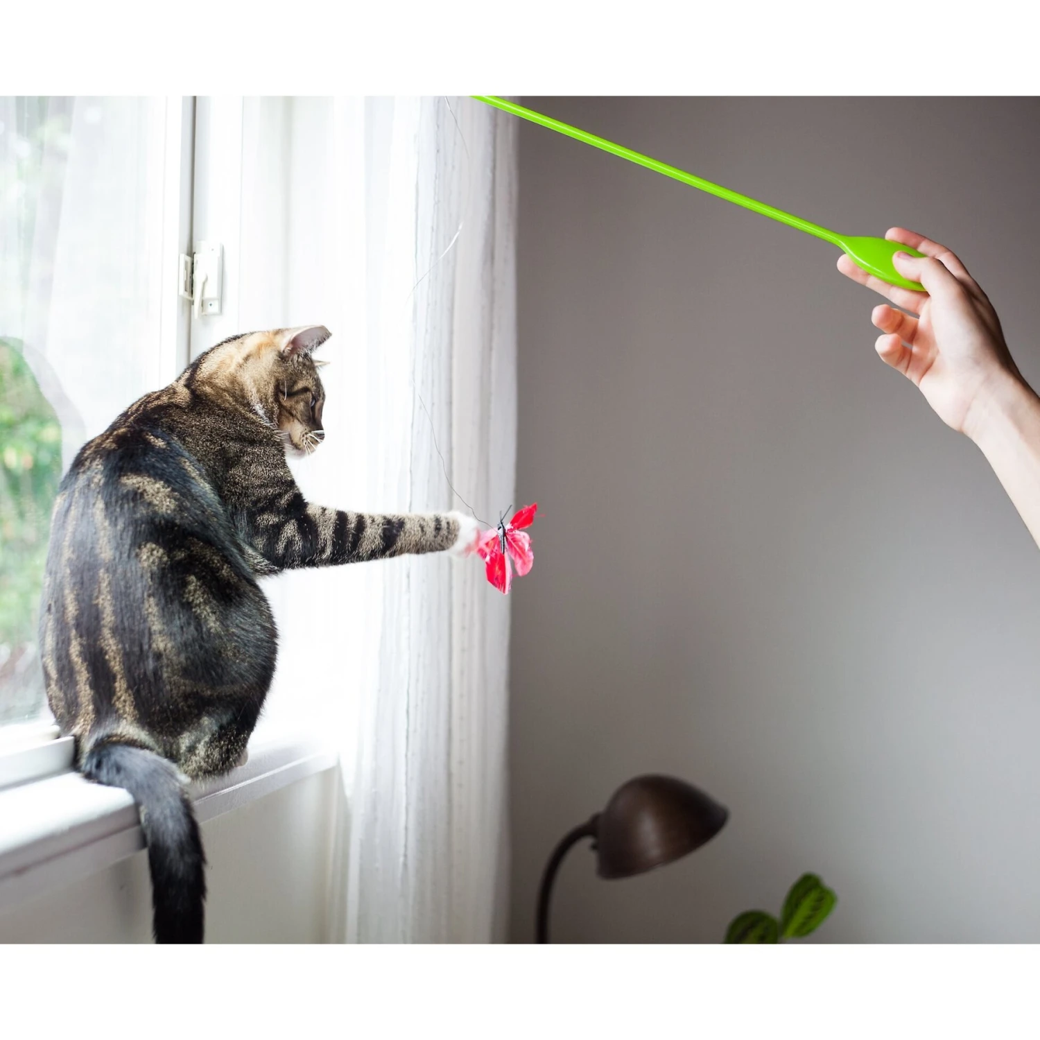 Catstages Butterfly Cat Wand Toy - Image 7