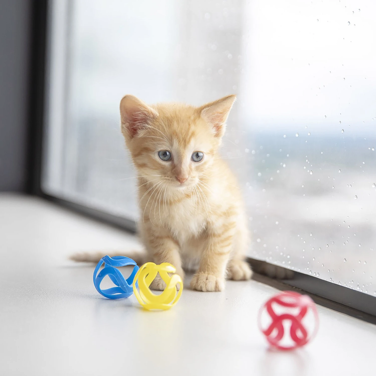 JW Pet Cat Crazies Cat Toy - Image 3