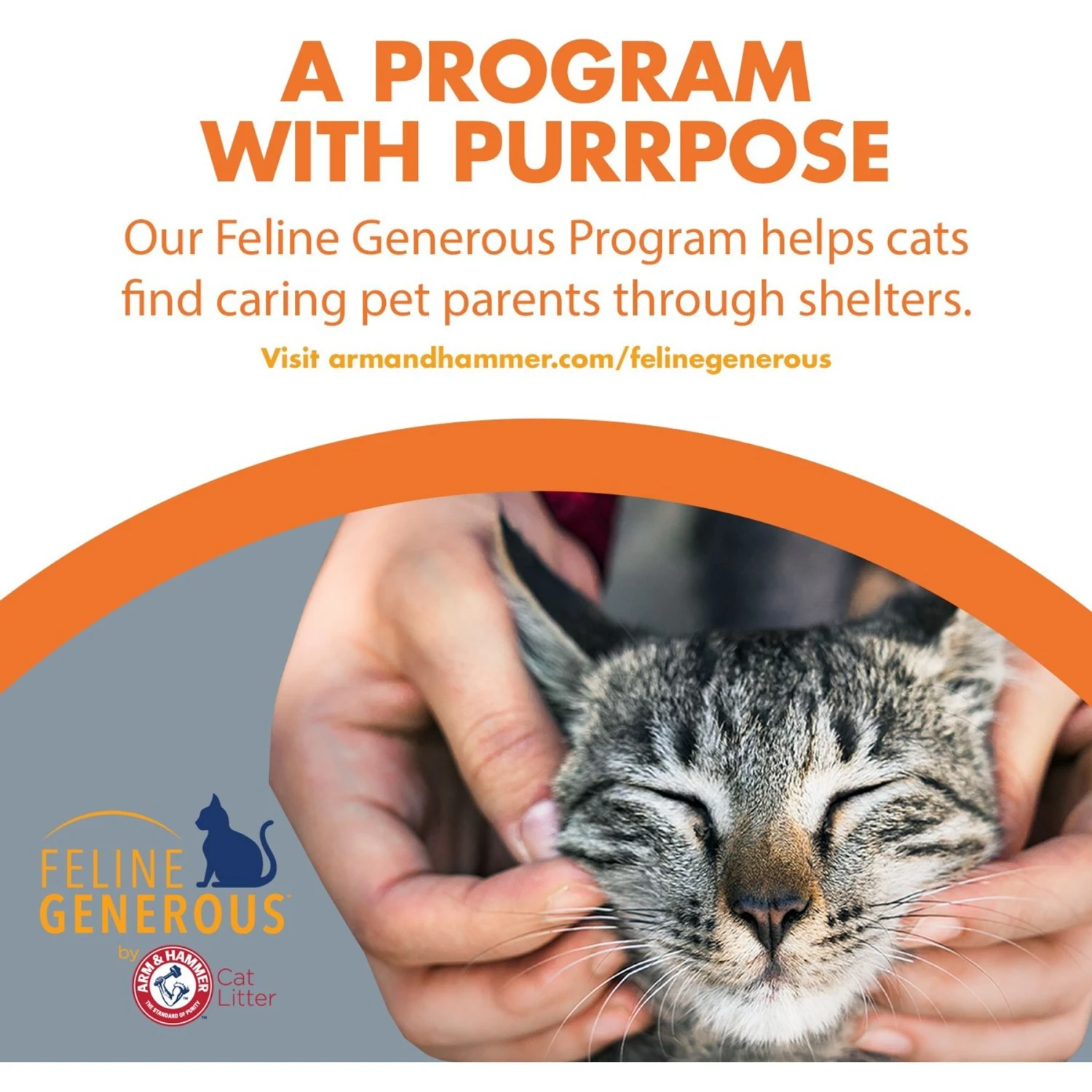 Arm & Hammer Litter Naturals Scented Clumping Corn Cat Litter - Image 8