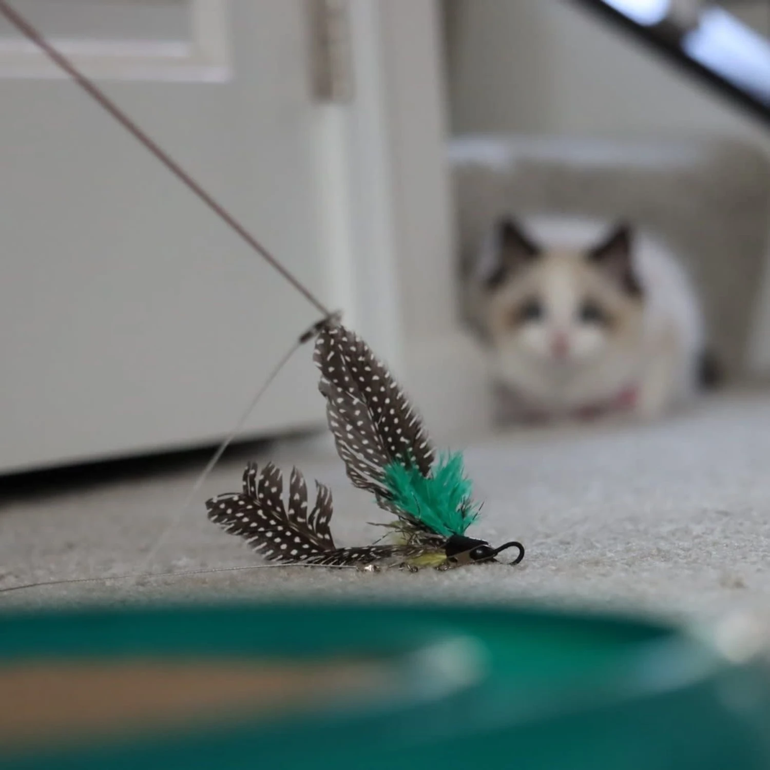 Turbo Flying Teaser Replacement Feather Cat Toy - Image 2