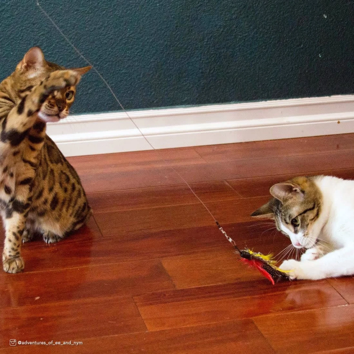 Turbo Flying Teaser Replacement Feather Cat Toy - Image 4