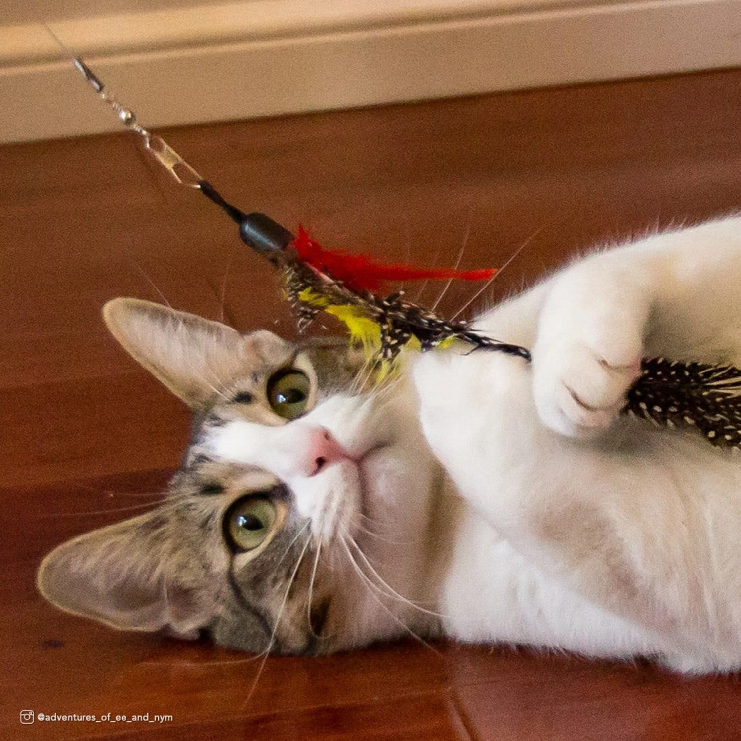 Turbo Flying Teaser Replacement Feather Cat Toy - Image 5