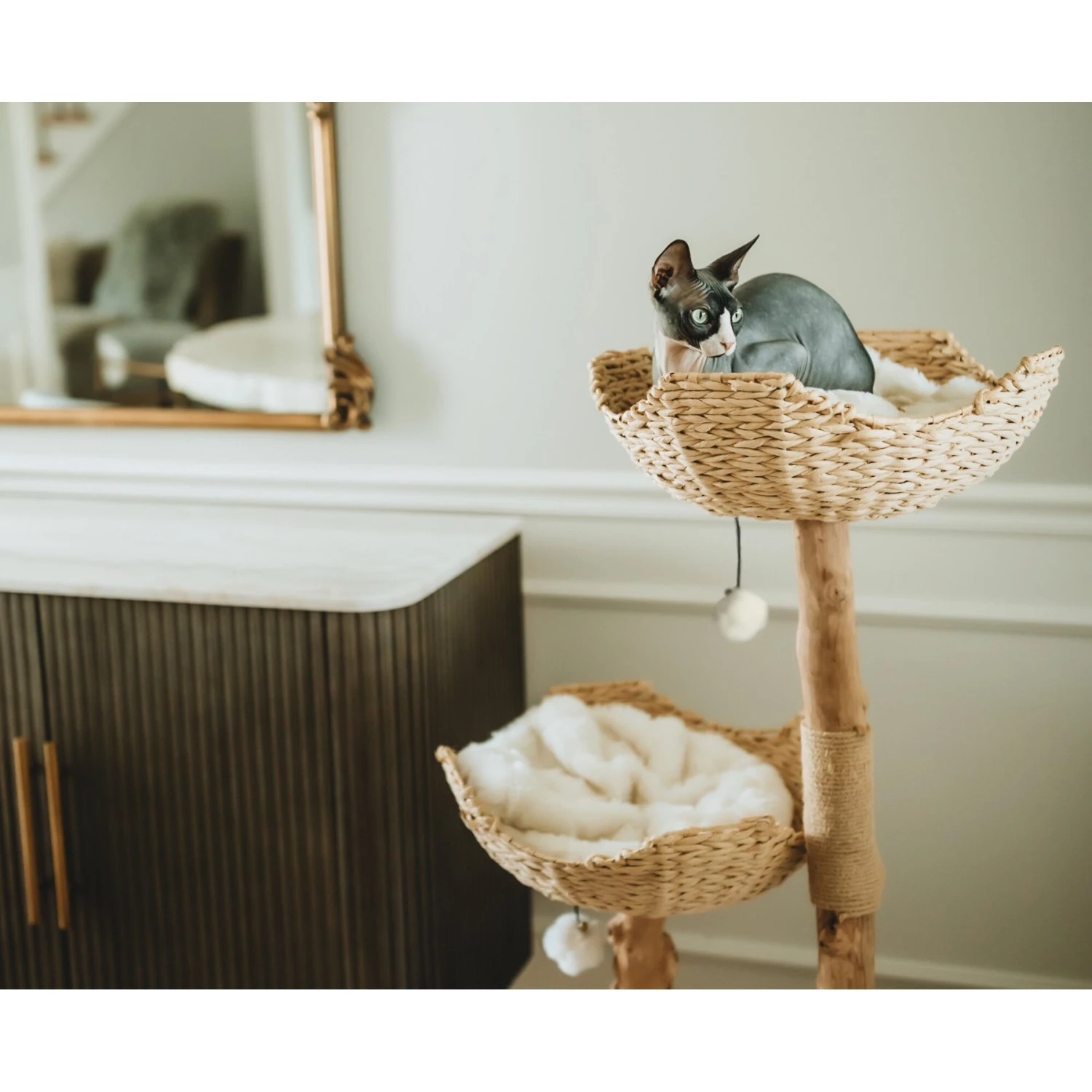 Mau Lifestyle Cento 46-in Modern Wooden Cat Tree & Condo - Image 3