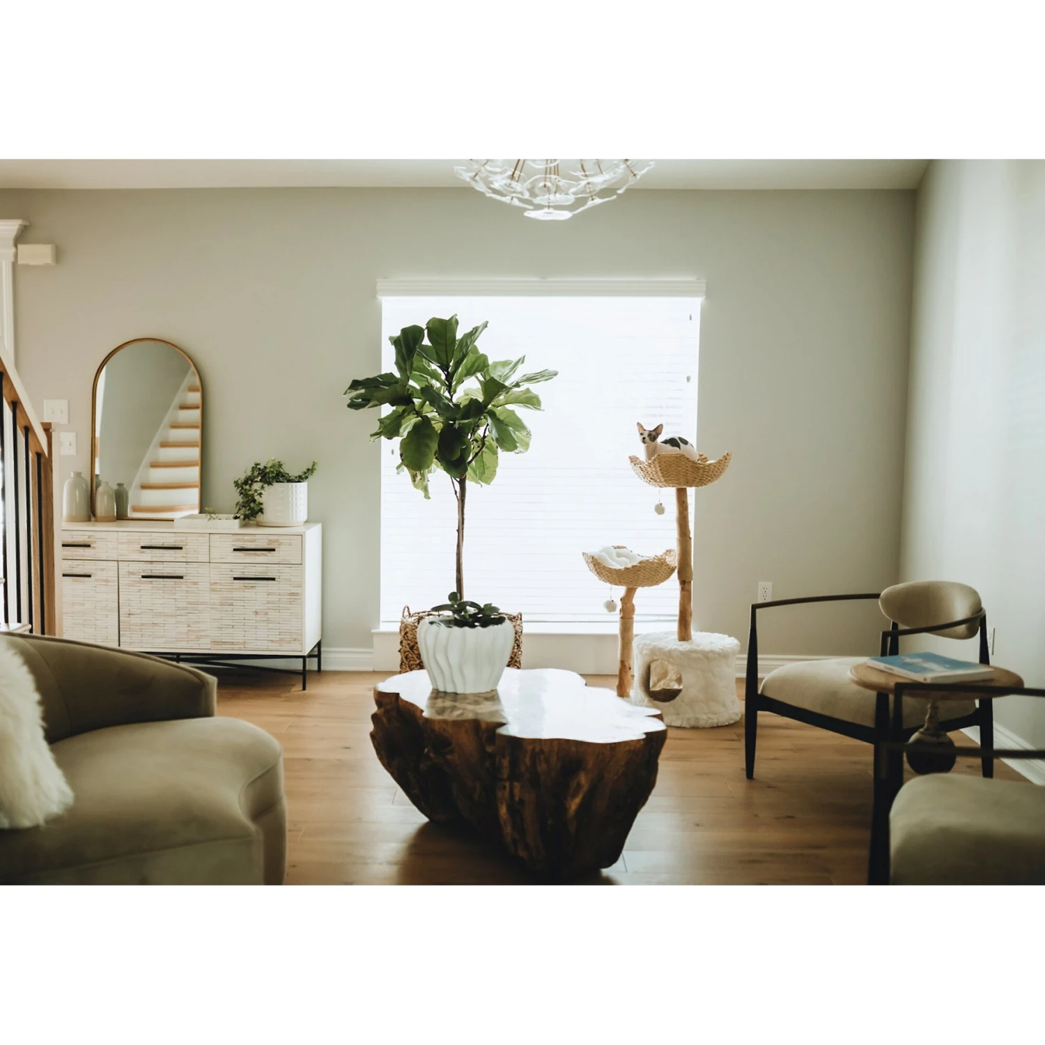 Mau Lifestyle Cento 46-in Modern Wooden Cat Tree & Condo - Image 6