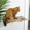 Frisco Wooden Wall Mounted Stainless Steel Cat Feeding Station With Bowl
