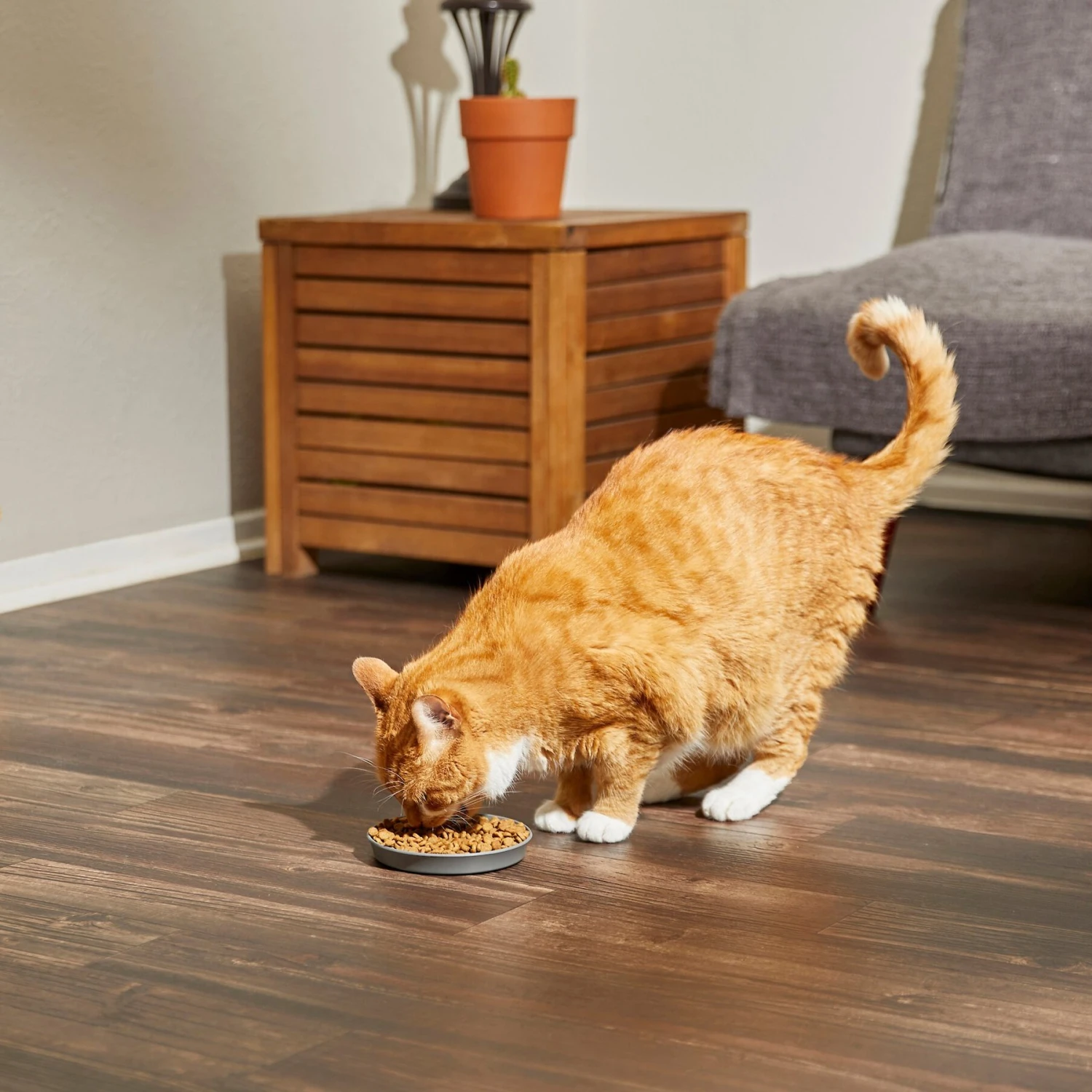 Frisco Round Cat Dish - Image 5