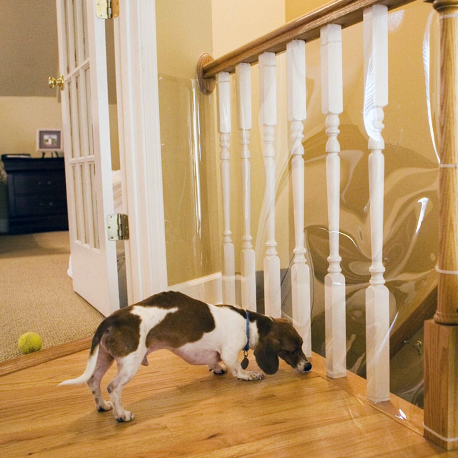 Cardinal Gates Indoor Banister Dog & Cat Shield Protector, Clear - Image 3
