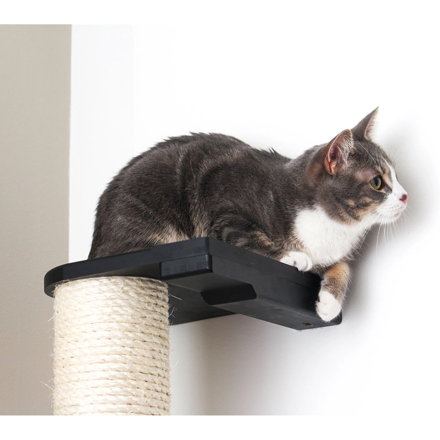 CatastrophiCreations Sisal Cat Climbing Pole - Image 3