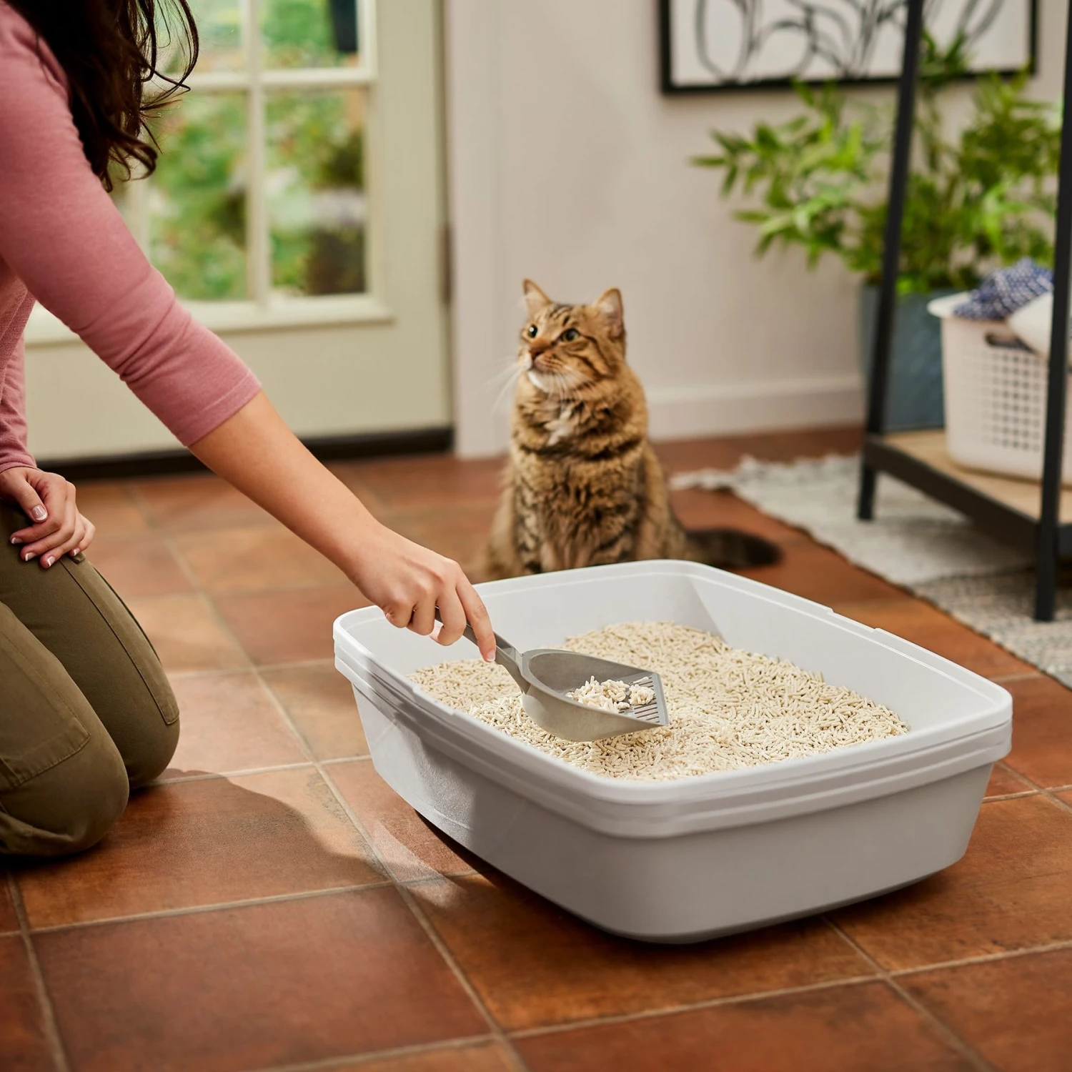 Frisco Tofu Clumping Cat Litter - Image 5
