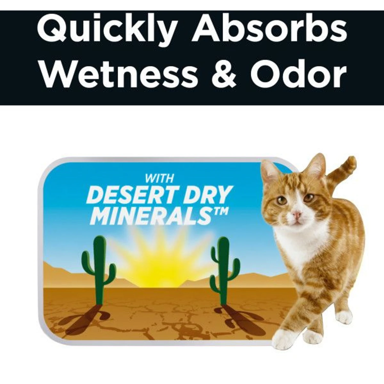 Arm & Hammer Litter Clump & Seal AbsorbX Absorbing Multi-Cat Cat Litter - Image 5