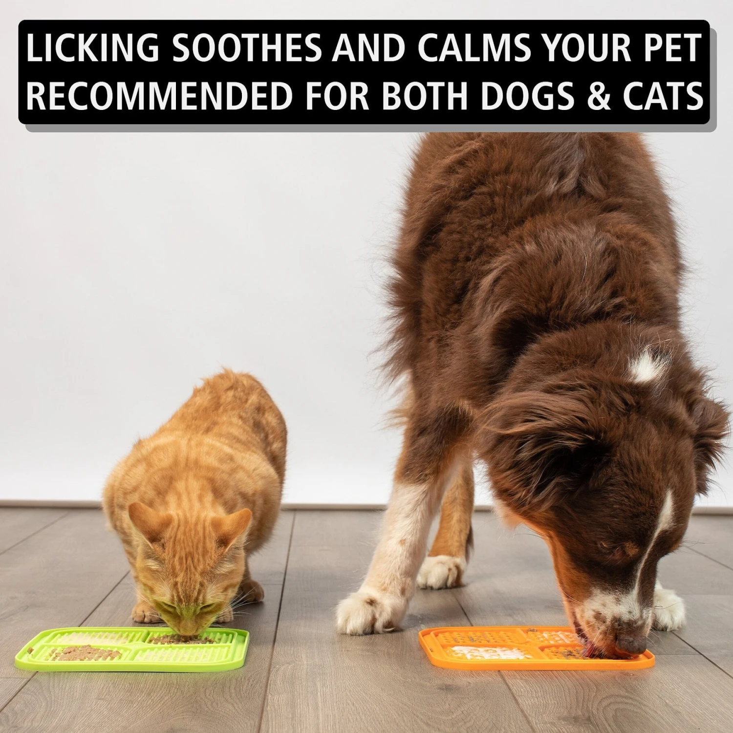 Hyper Pet IQ Rewards Cat & Dog Slow Feeder - Image 3