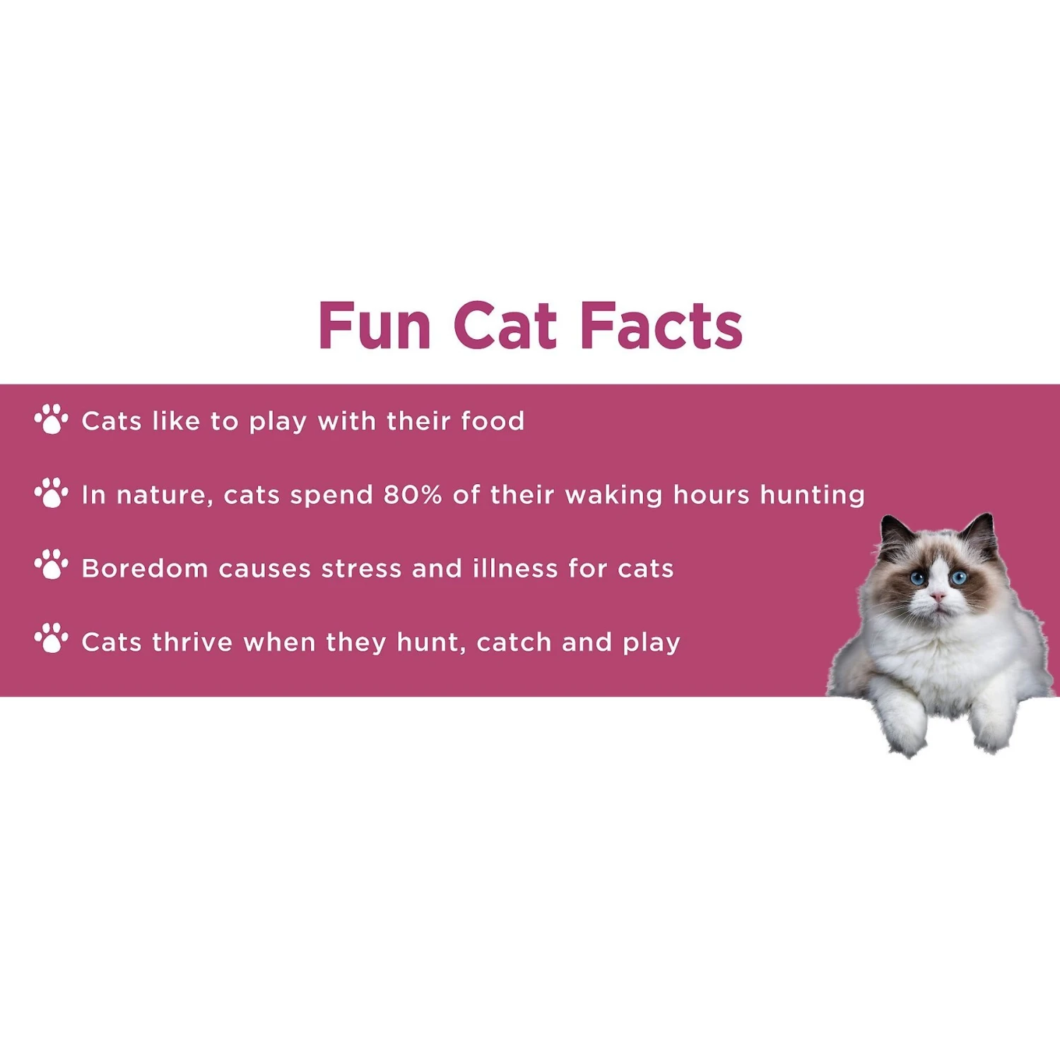 Doc & Phoebe's Cat Co. The Wet Feeder Cat Slow Feeder, Blue - Image 7