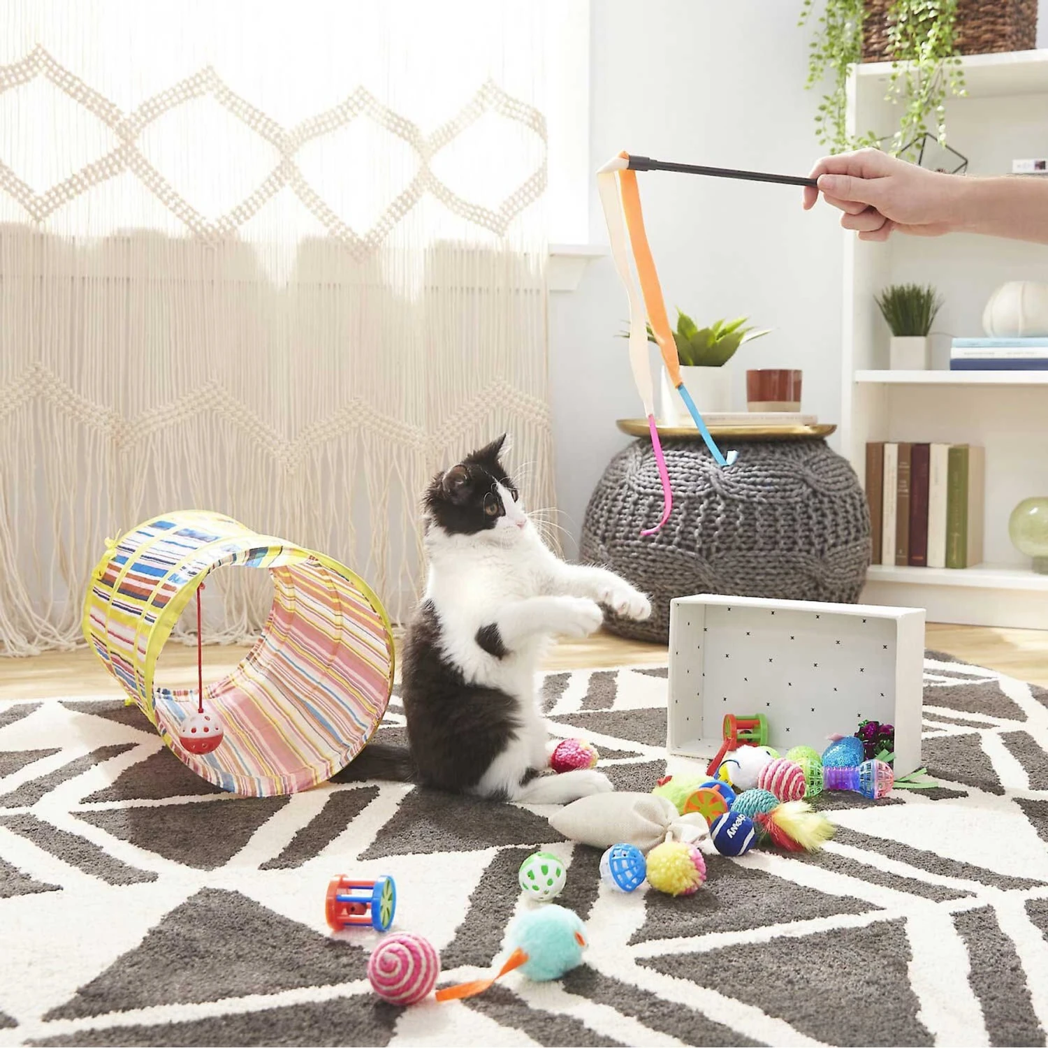 Sheba Meaty Tender Sticks Salmon Flavored Soft Adult Cat Treats & Frisco Plush, Teaser, Ball & Tunnel Variety Pack Cat Toy With Catnip - Image 5