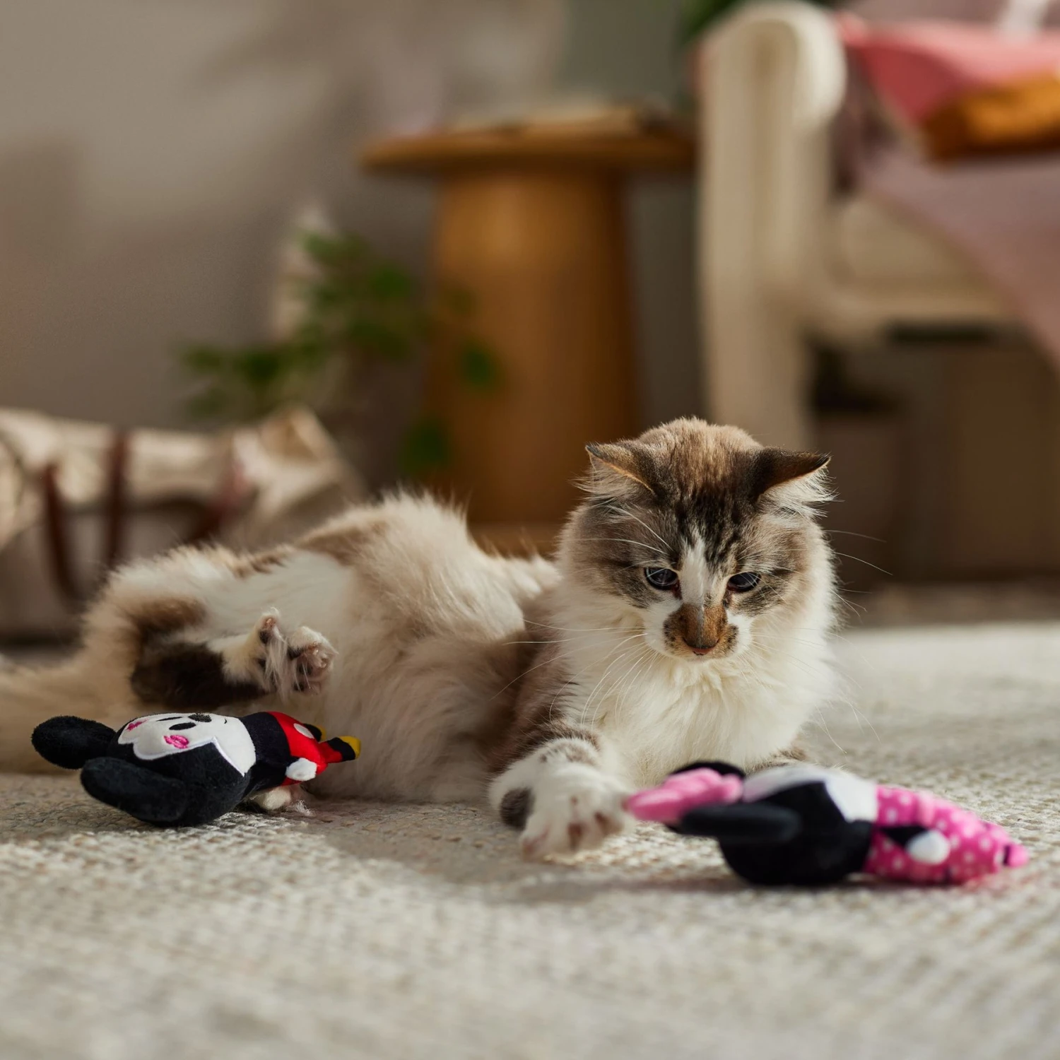 Disney Mickey & Minnie Mouse Plush Cat Toy With Catnip, 2 Count - Image 4