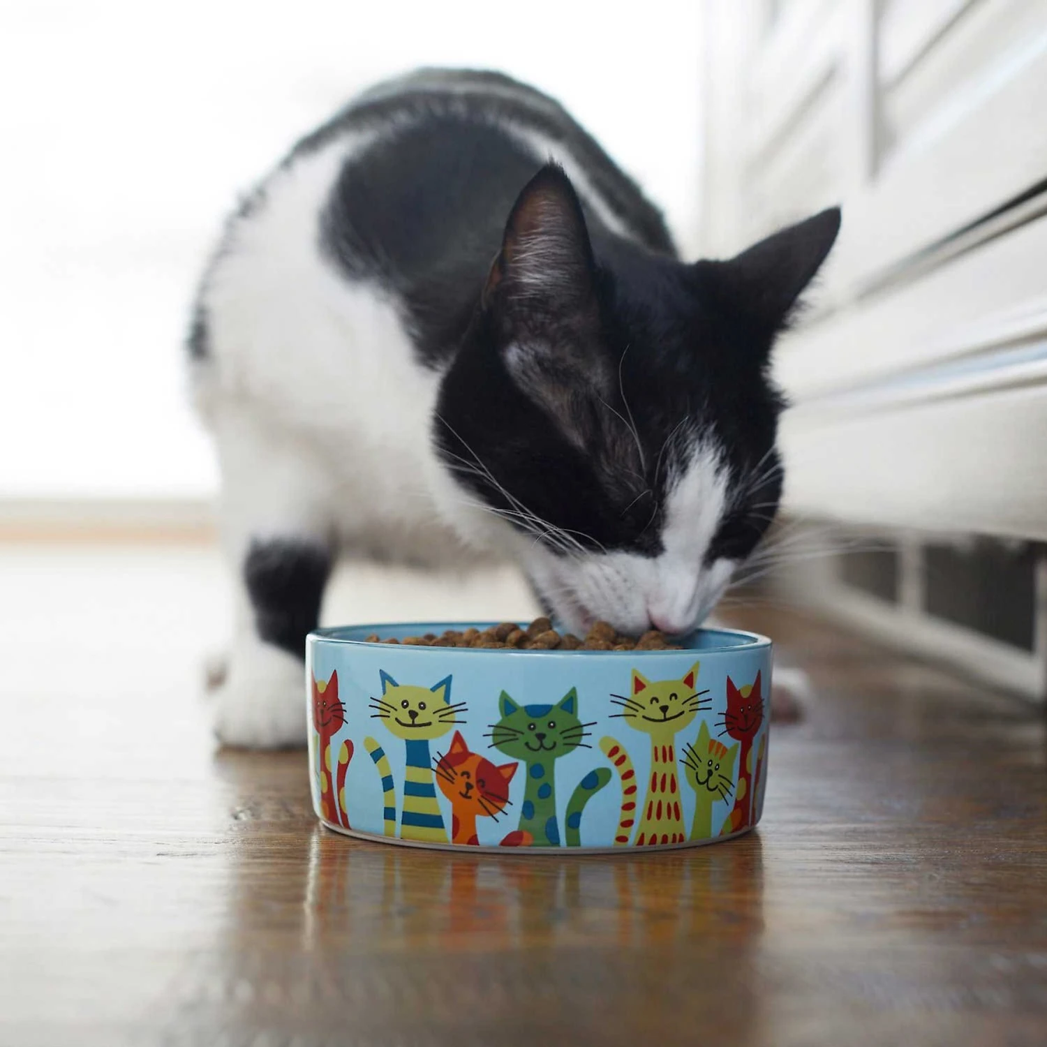 Frisco New York Non-skid Ceramic Cat Dish & Frisco New York Non-skid Ceramic Cat Bowl - Image 9