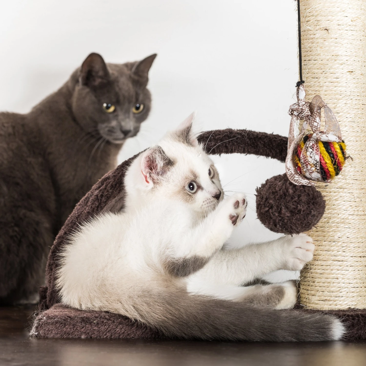 Pet Adobe 5-Tier 58.5-in Cat Tree & Condo - Image 6