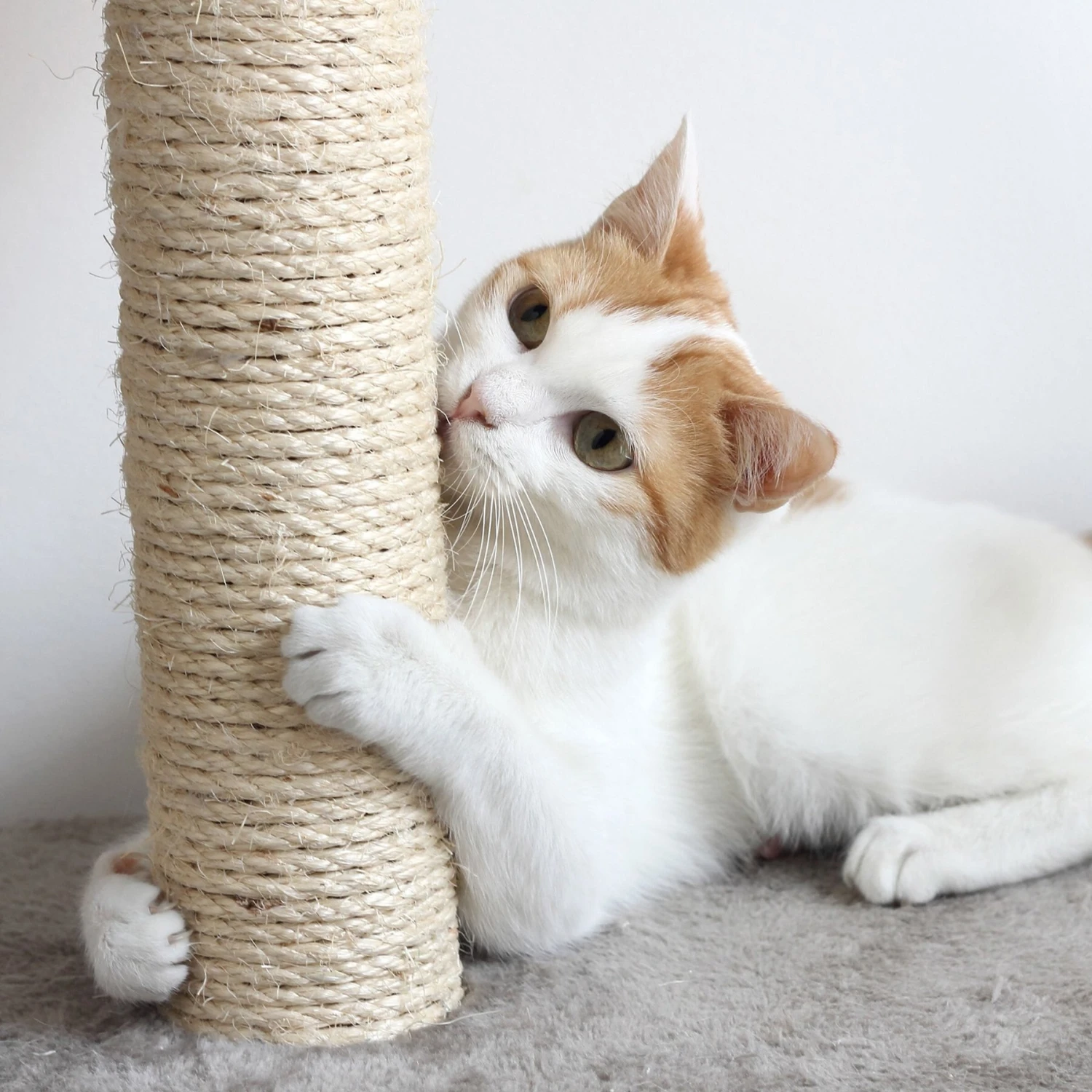 Pet Adobe Multi-Level 66.3-in Cat Tree & Condo - Image 4