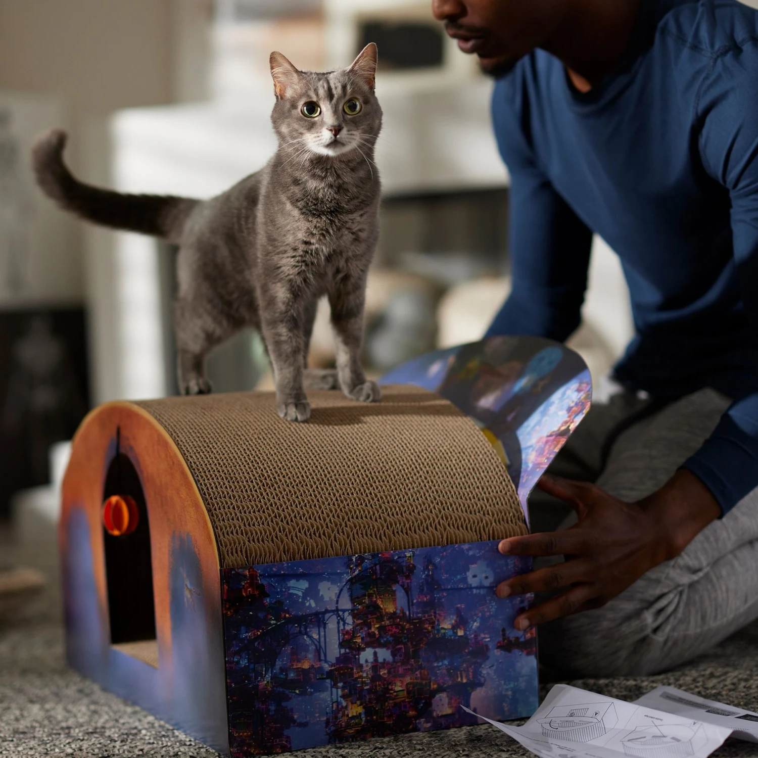 Pixar Coco Marigold Bridge Scratcher Cat Toy - Image 4