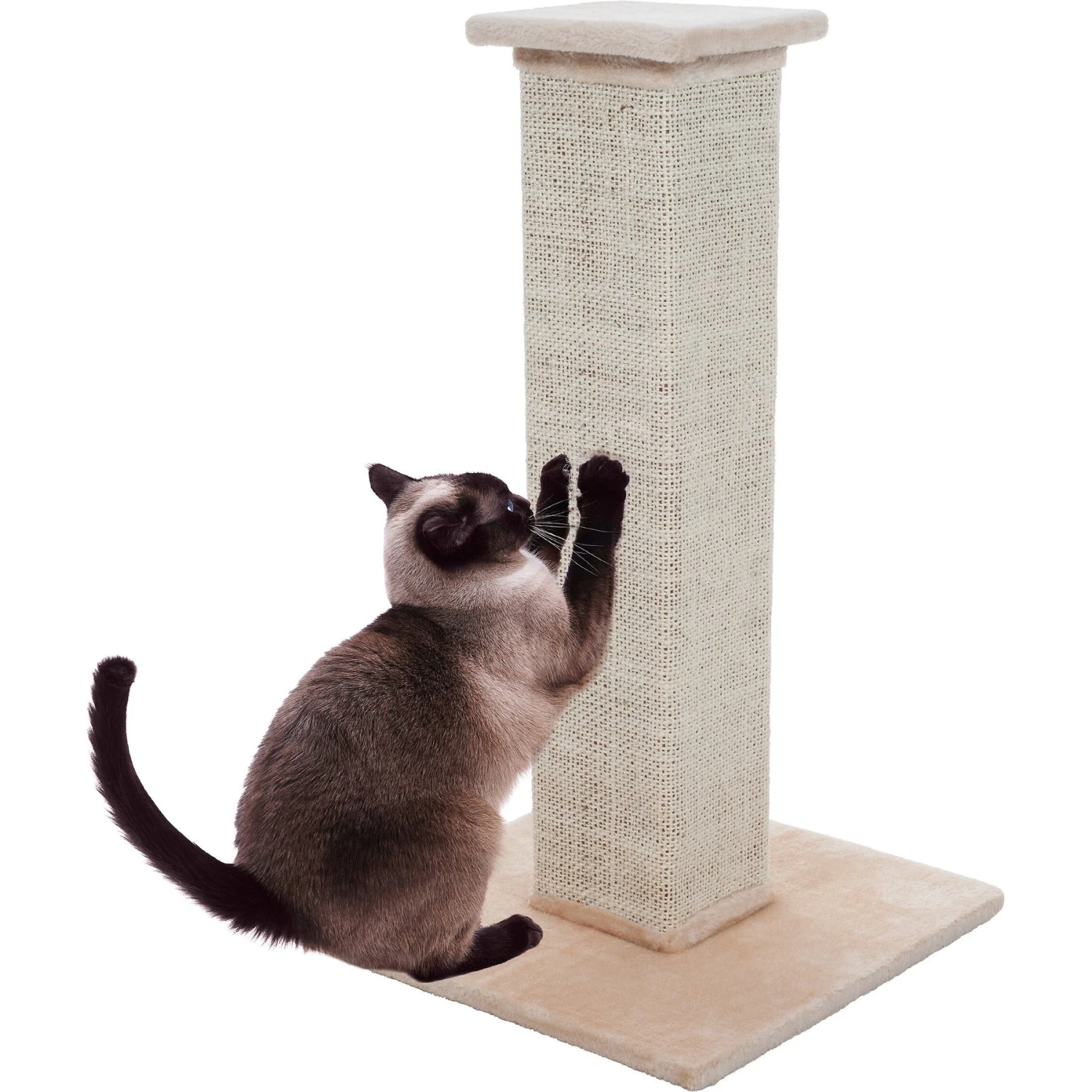 Pet Adobe 10.8-in Sisal & Burlap Cat Scratching Post