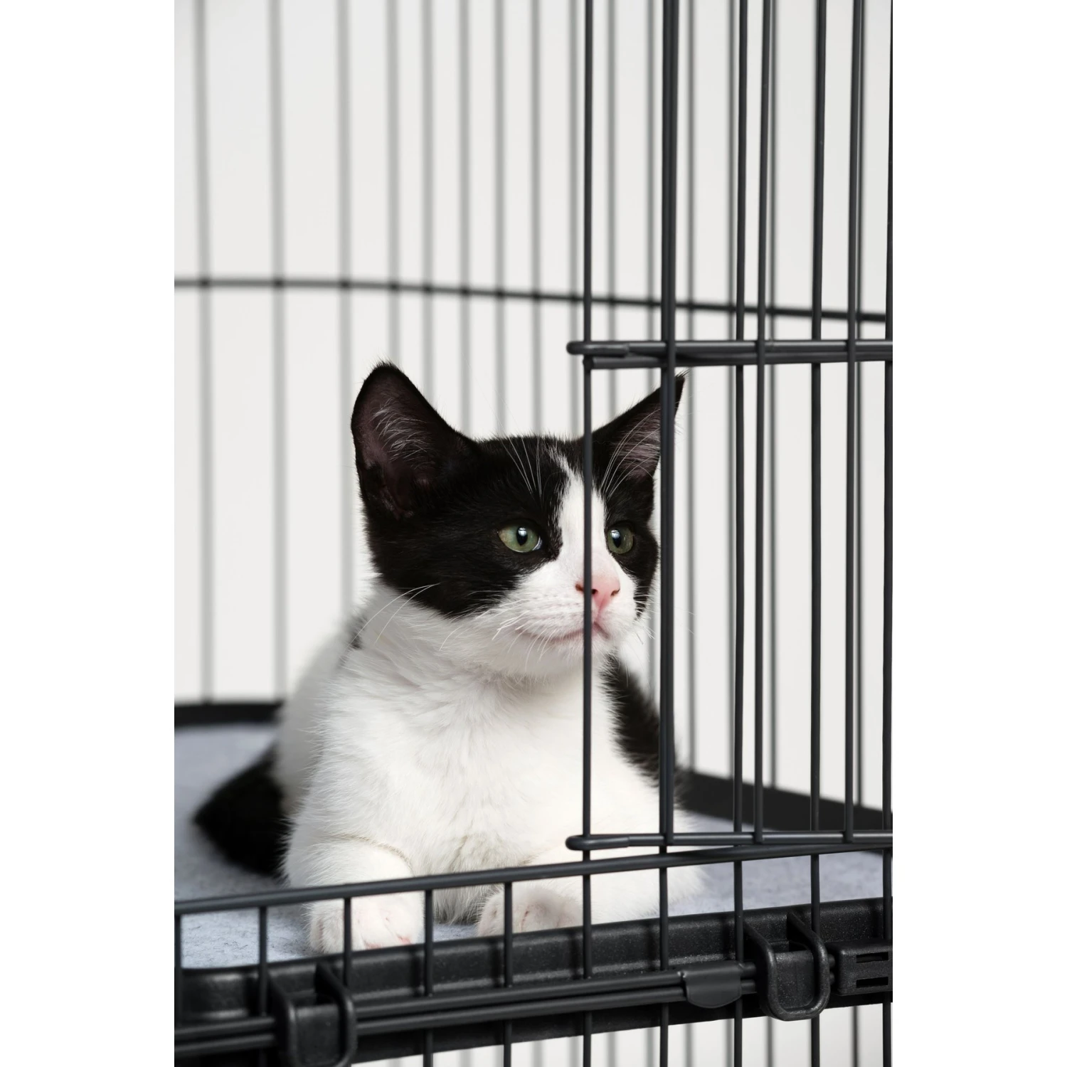 Prevue Pet Products Cat Cage Replacement Shelf - Image 4