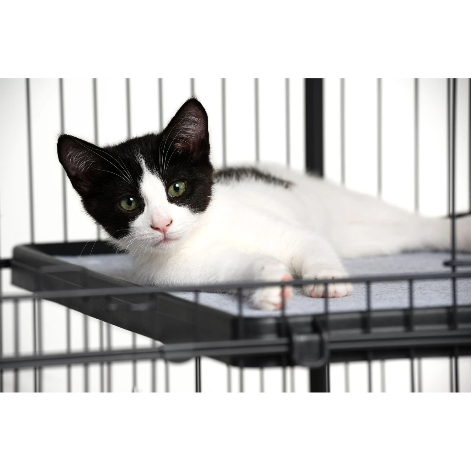 Prevue Pet Products Cat Cage Replacement Shelf - Image 9