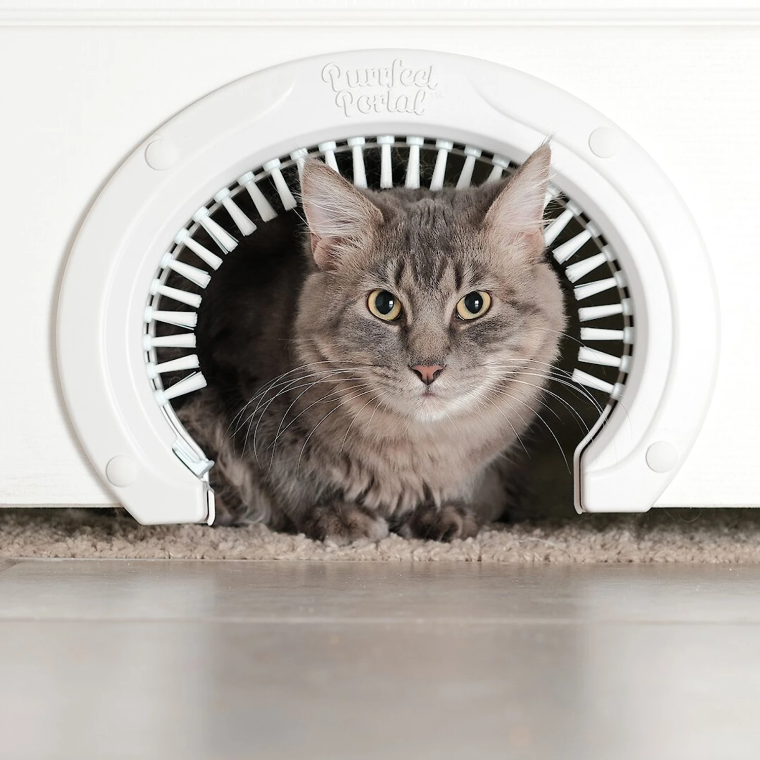 Purrfect Portal With Brush Interior Cat Door