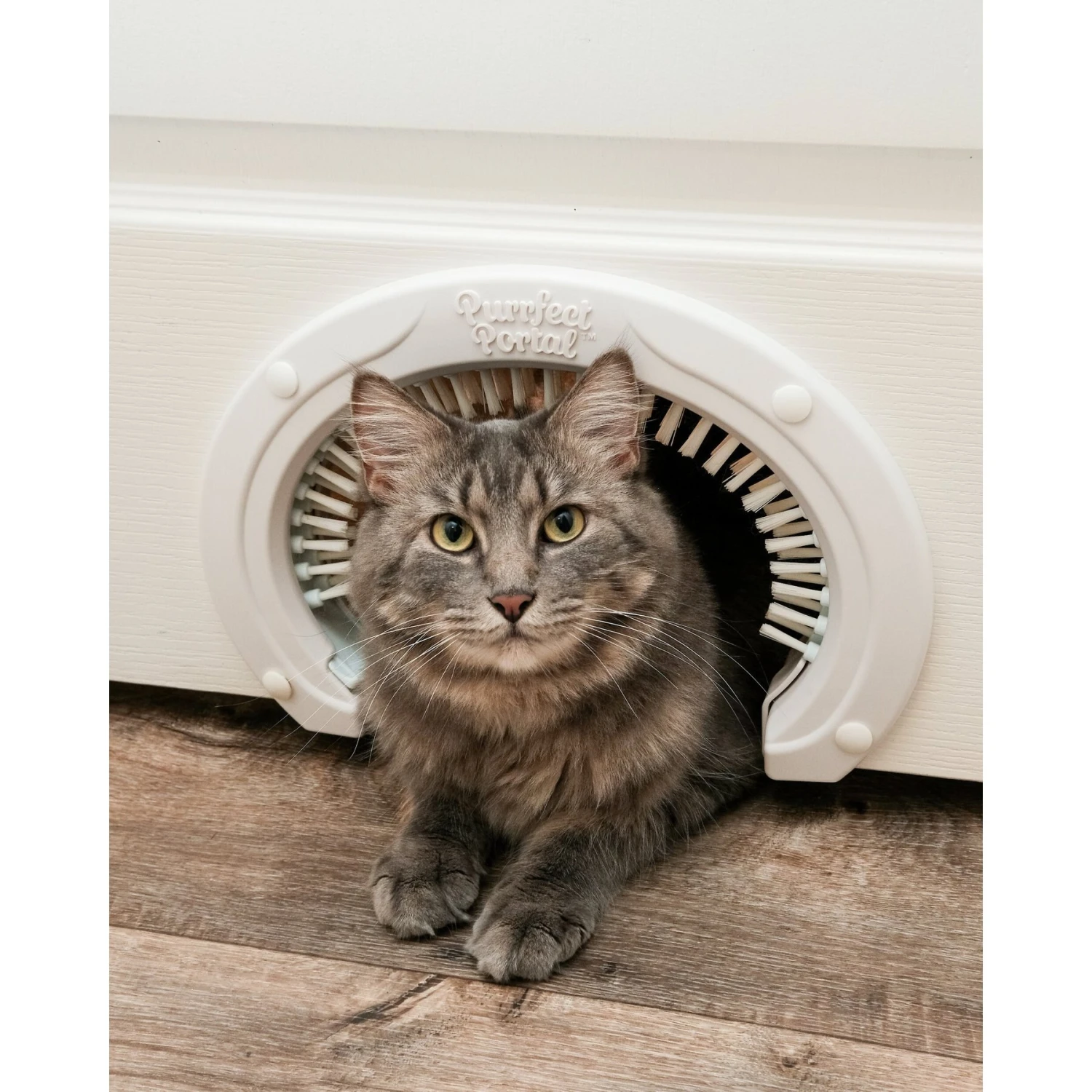 Purrfect Portal With Brush Interior Cat Door - Image 2