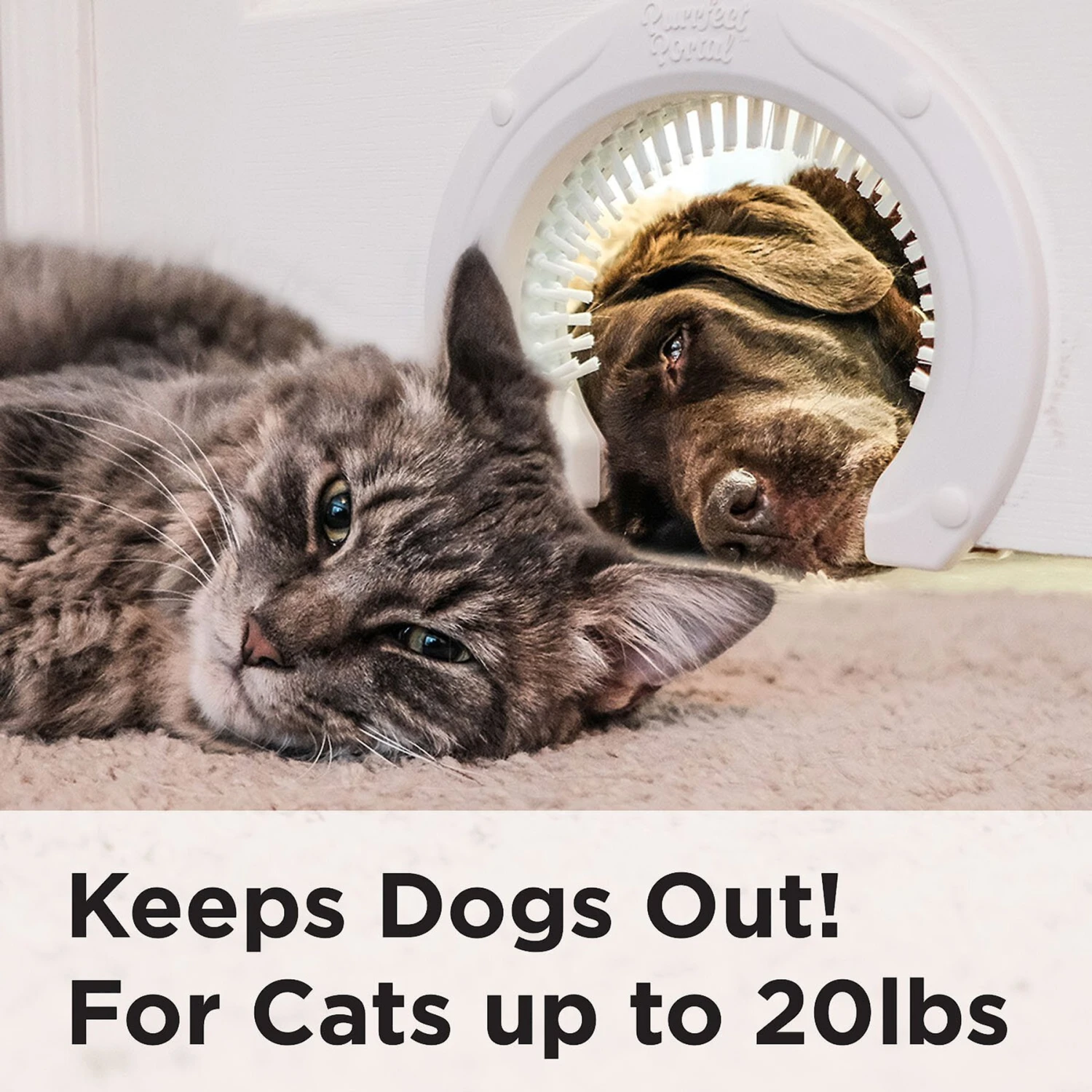 Purrfect Portal With Brush Interior Cat Door - Image 4